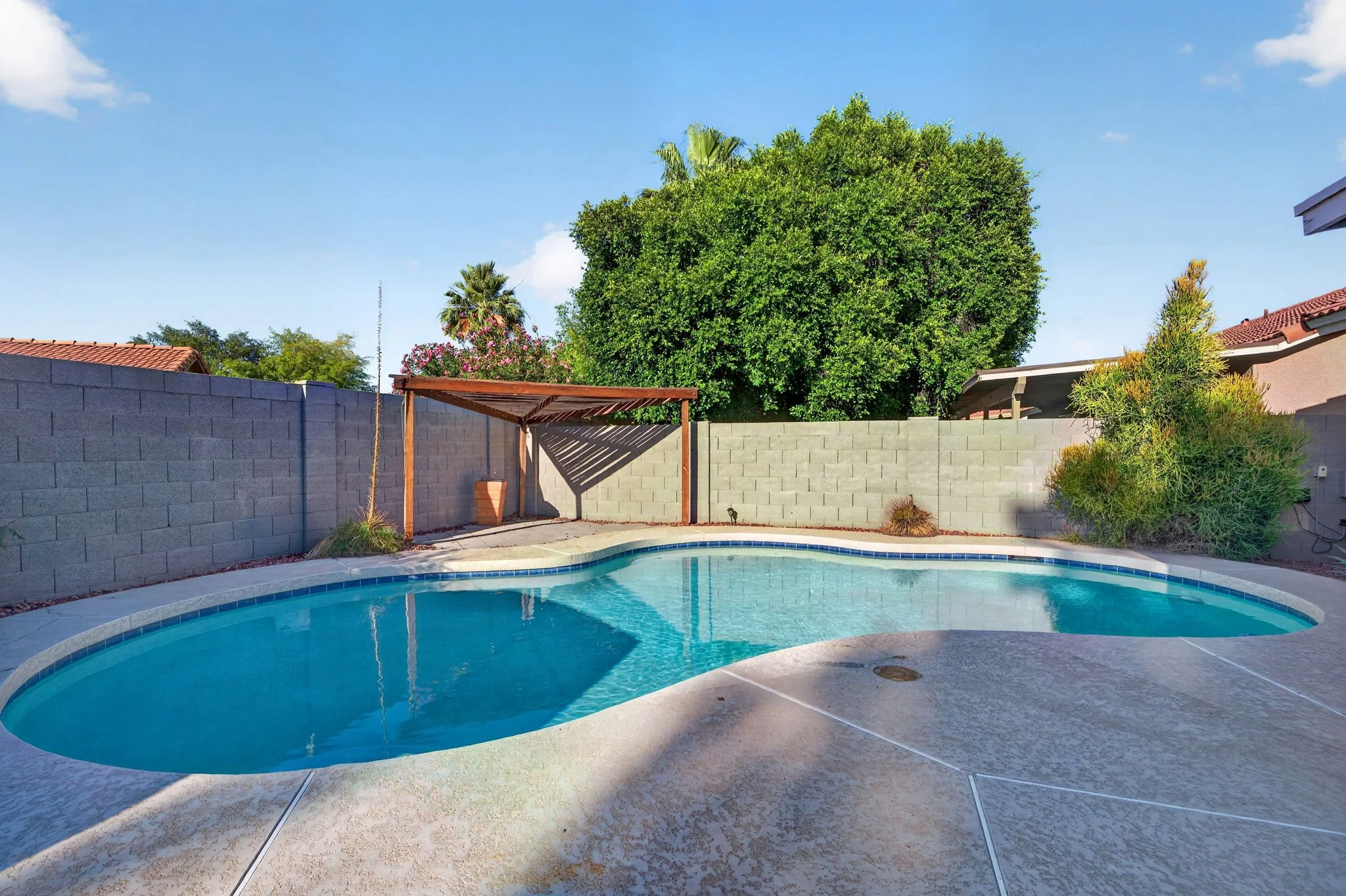 Backyard swimming pool with a concrete deck, surrounded by a concrete block wall, with lush green trees and a blue sky in the background.