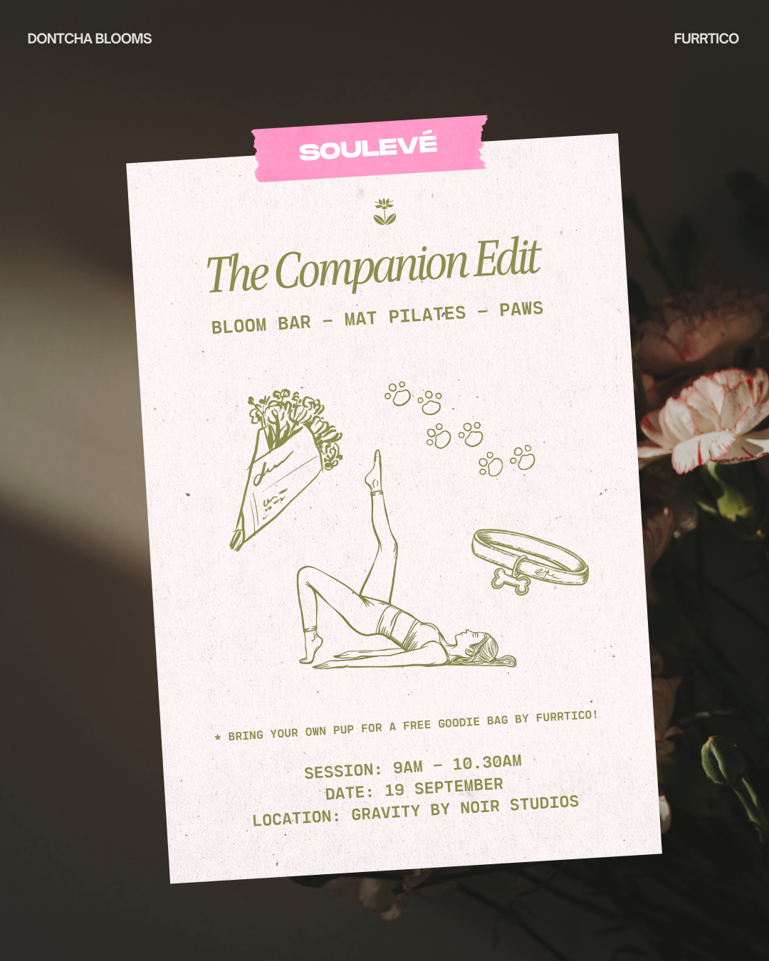 the companion edit (1).png