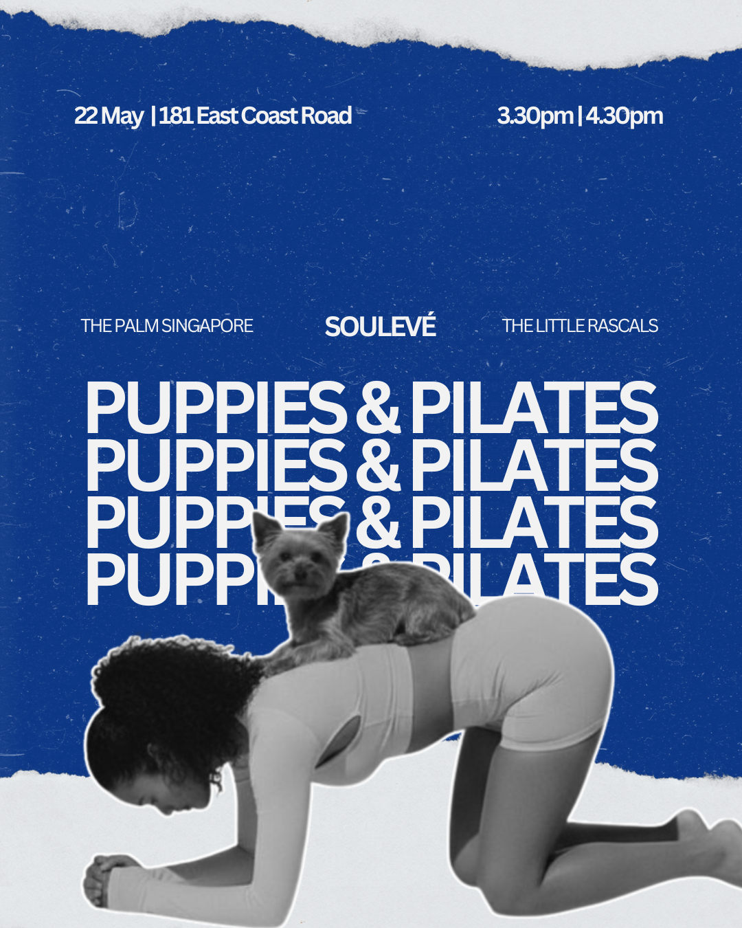PUPPIES & PILATES PUPPIES & PILATES PUPPIES & PILATES PUPPIES & PILATES.png