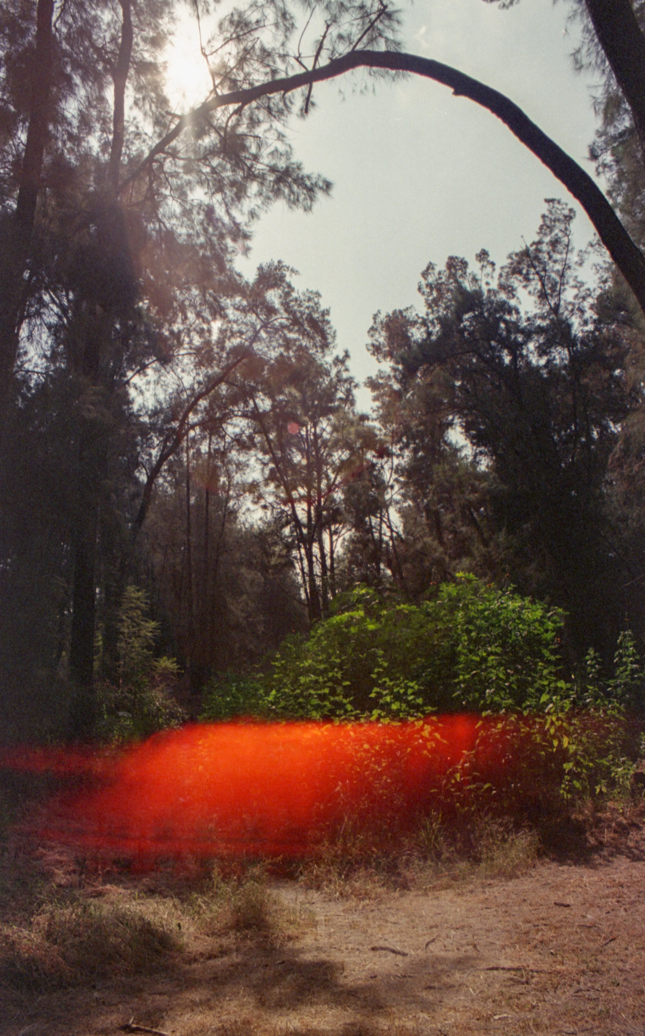 ParamoScan20260115_0031 (1).jpg