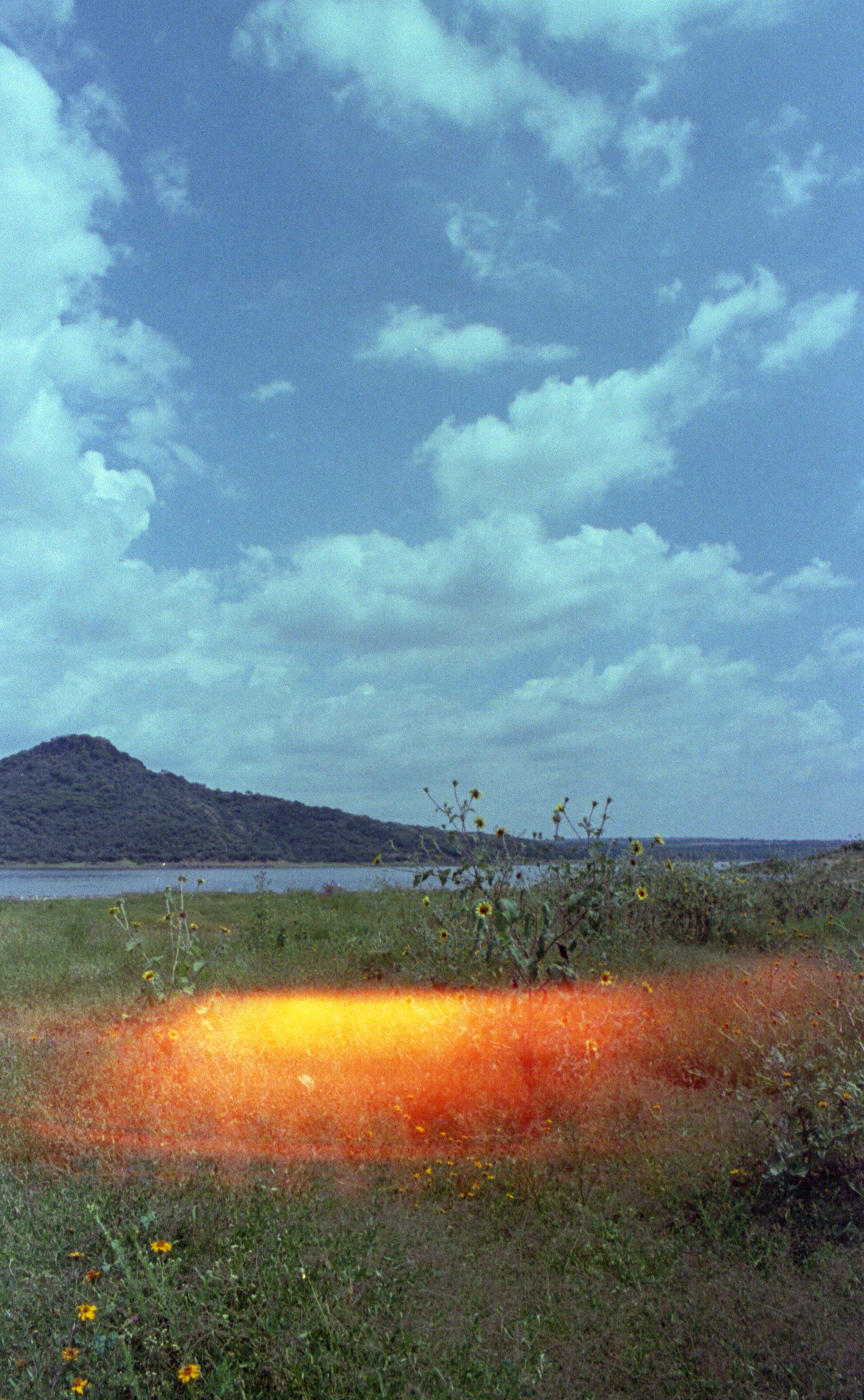 ParamoScan20260115_0020 (1).jpg