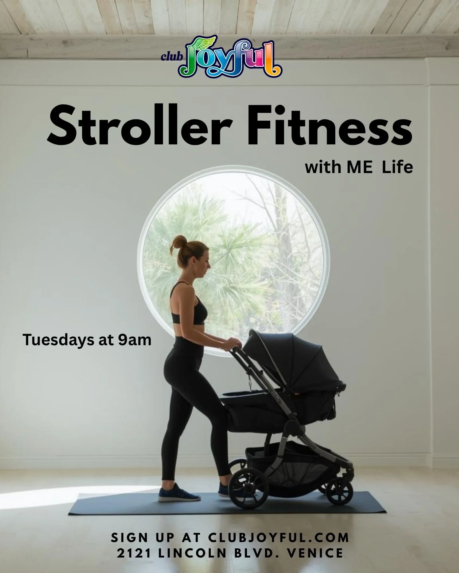 Stroller Fitness