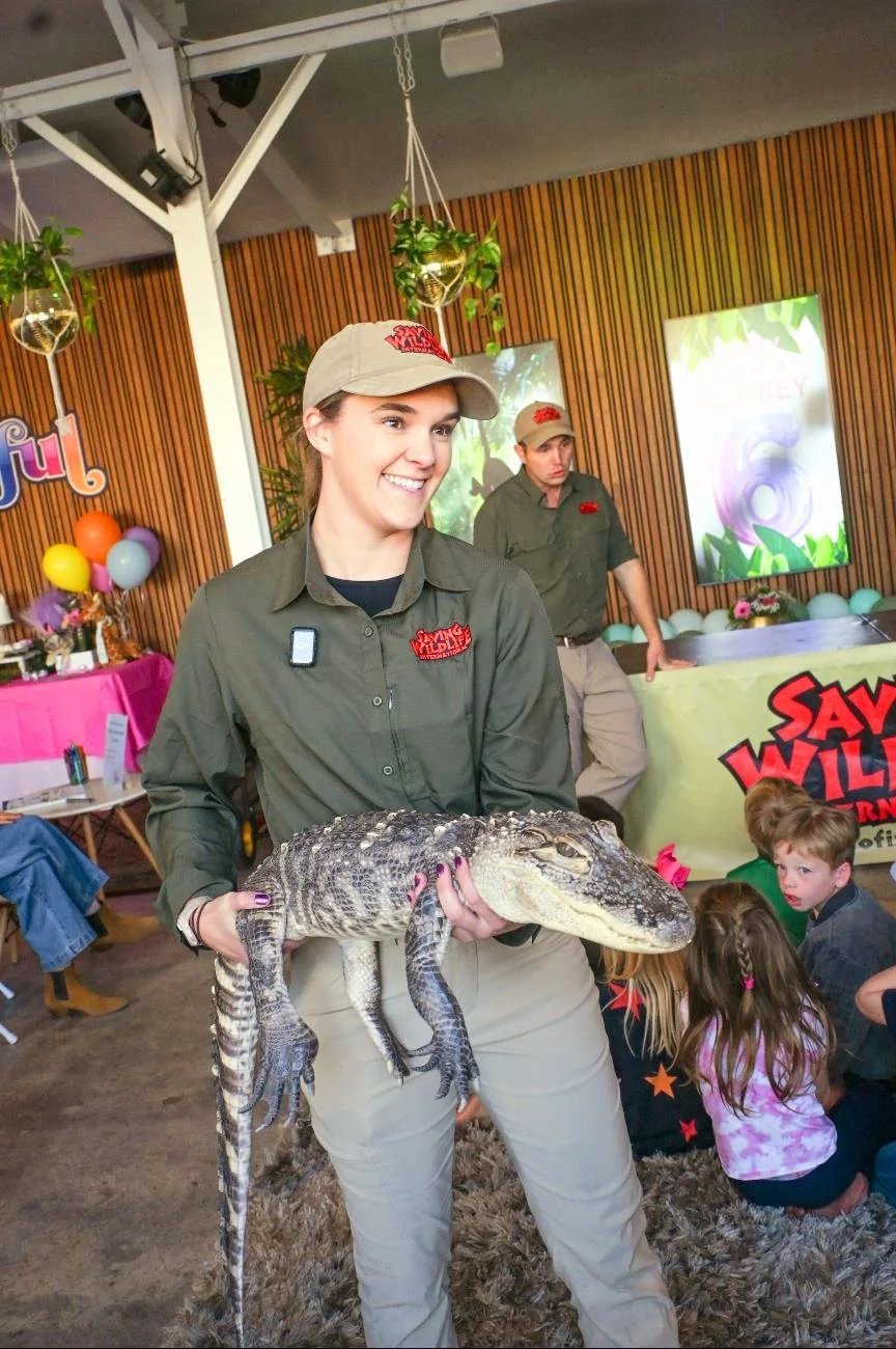 Reptile Party