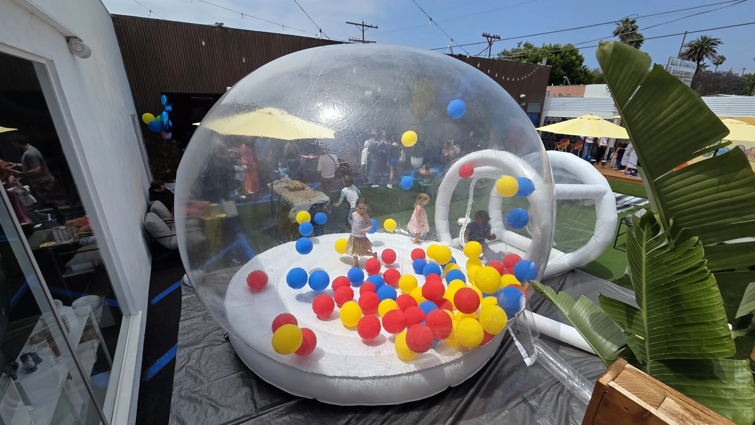 20250525_115101.jpg