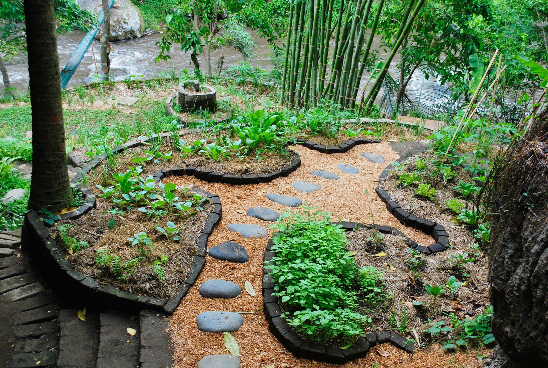 Tropical permaculture garden designed by Mark Garrett Permaculture Design Consultancy.
