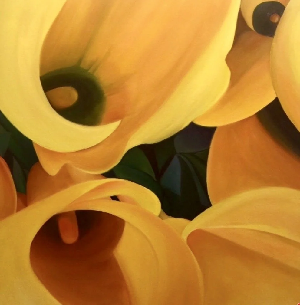 Calla lilies. 36 x 40 inches. Oil on canvas.