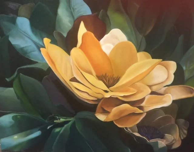 Magnolia. 24 x 27 inches. Oil on canvas.