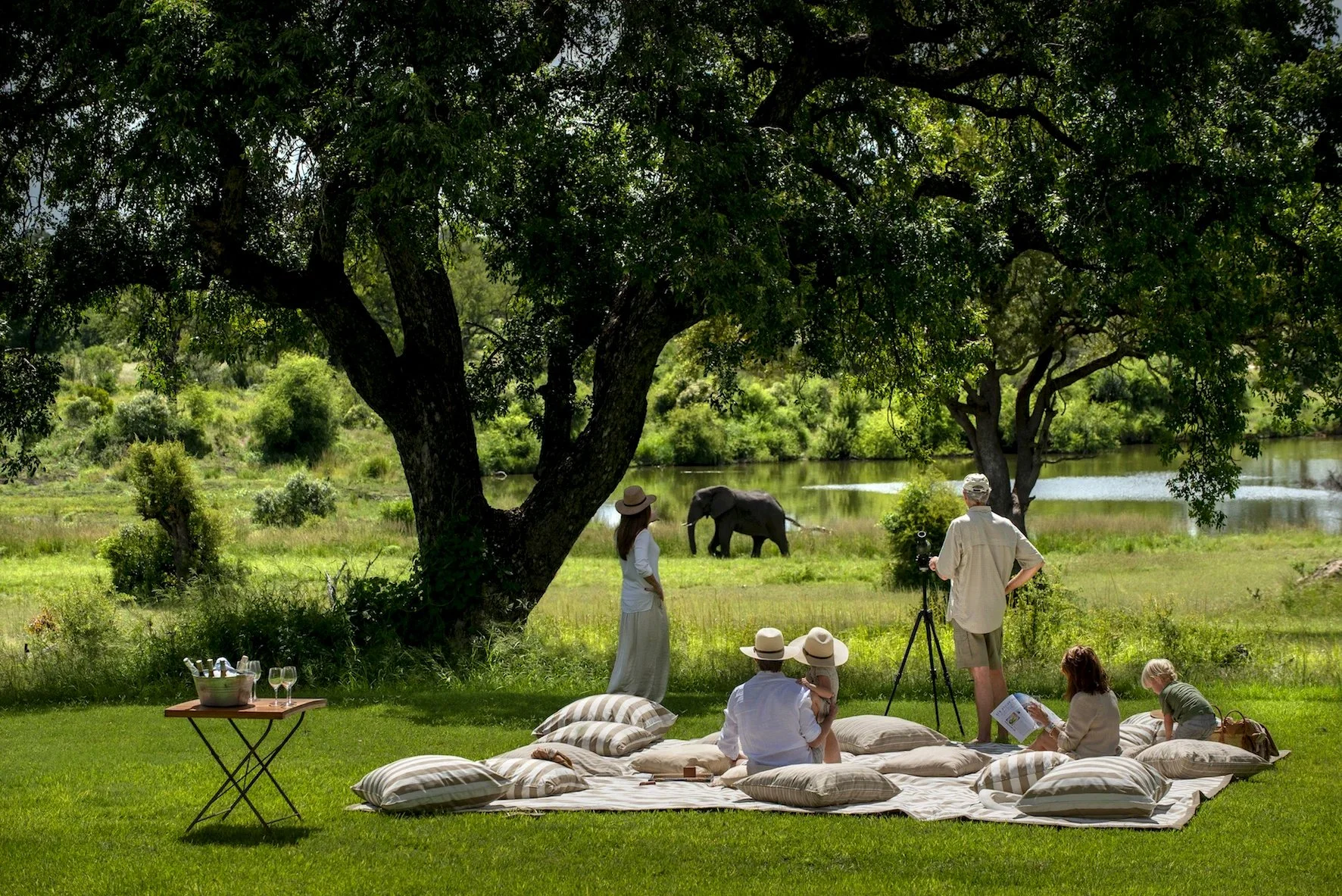 Group of people sitting on a blanket with pillows by a river, observing elephants in the distance under trees.