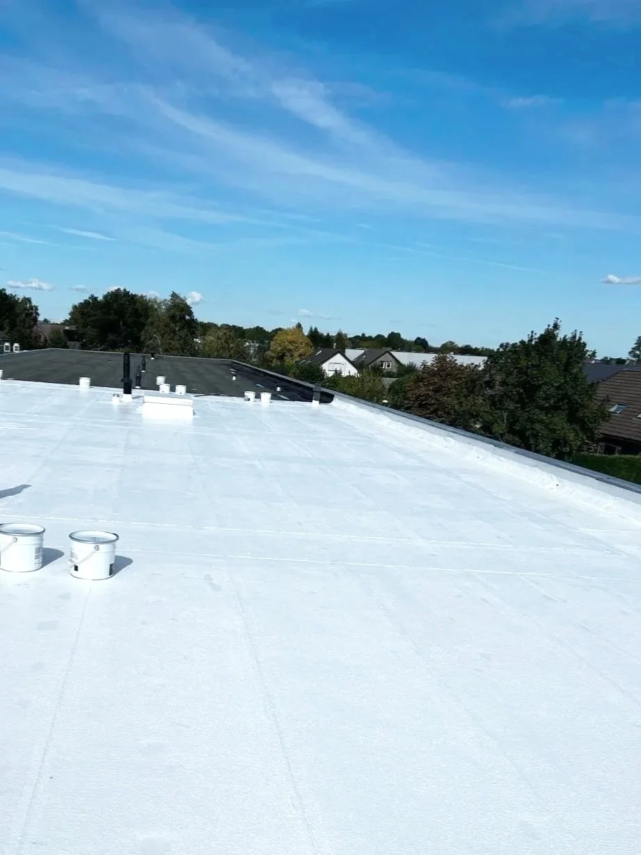 Zwart, plat dak met witte waterdichte coating en ventilatiepijpen, met een woonwijk en blauwe lucht op de achtergrond. Coolroof, dakcoating, dakrenovatie, klusbedrijf.