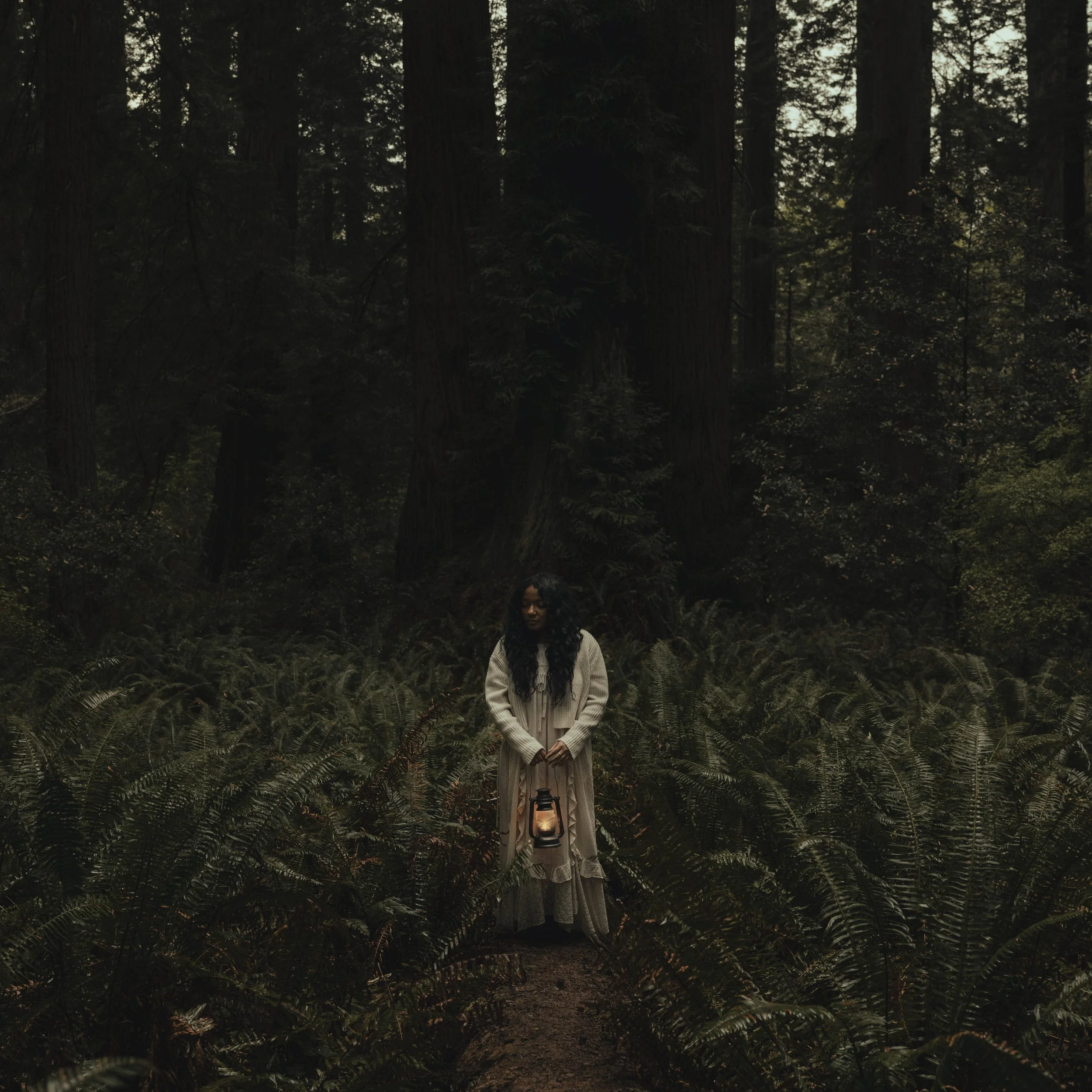 sahed. - beauty. 
