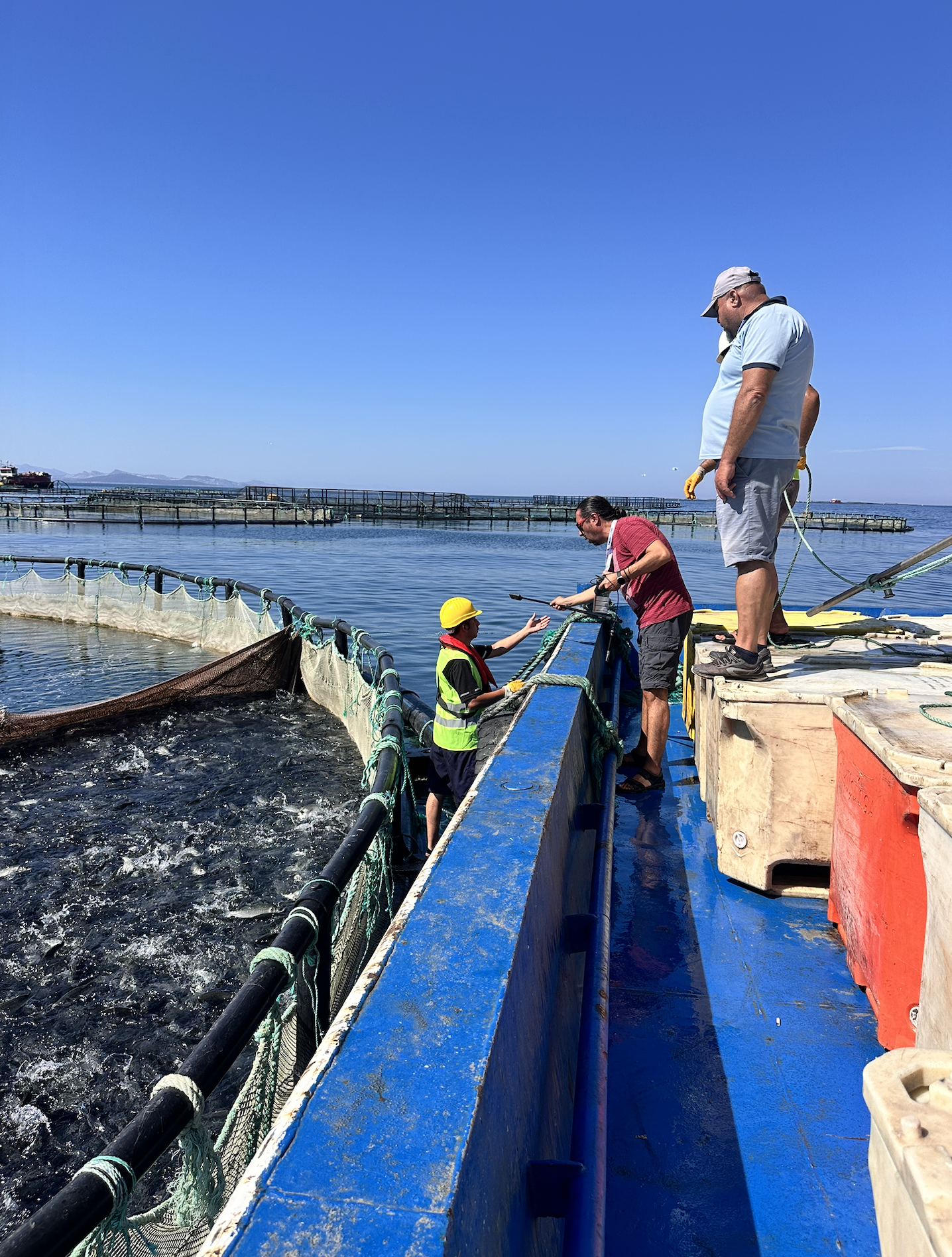 Scientists and workers on a blue boat examining a fish tank in a water farm, with a clear blue sky and structures in the background.