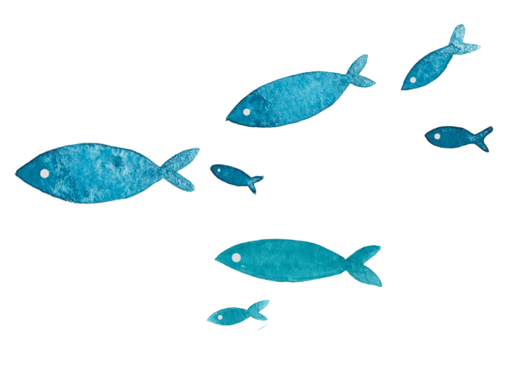 Illustration of several fish