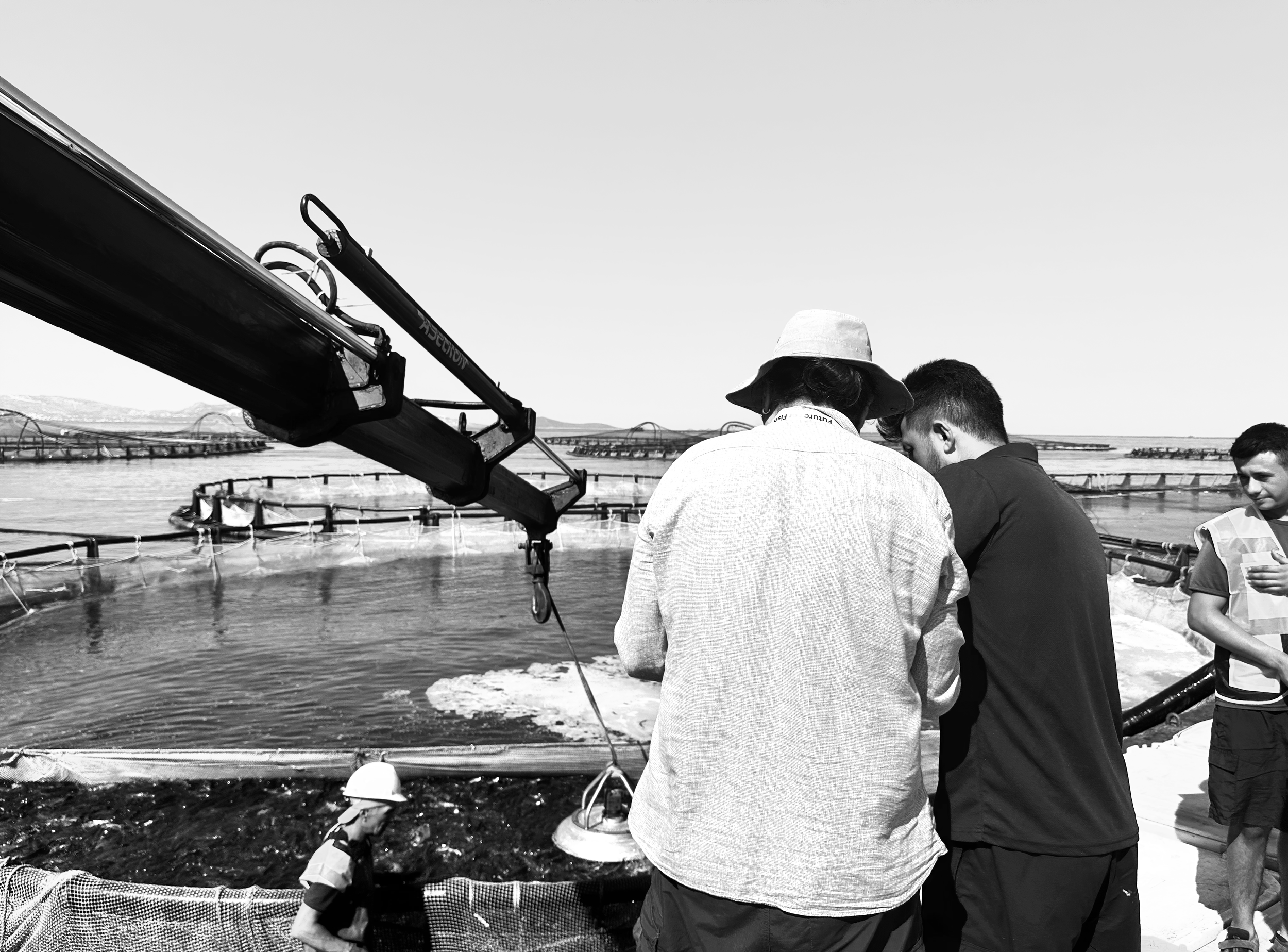 People standing near the water at a fish farm, with fish tanks and a large boom arm overhead.