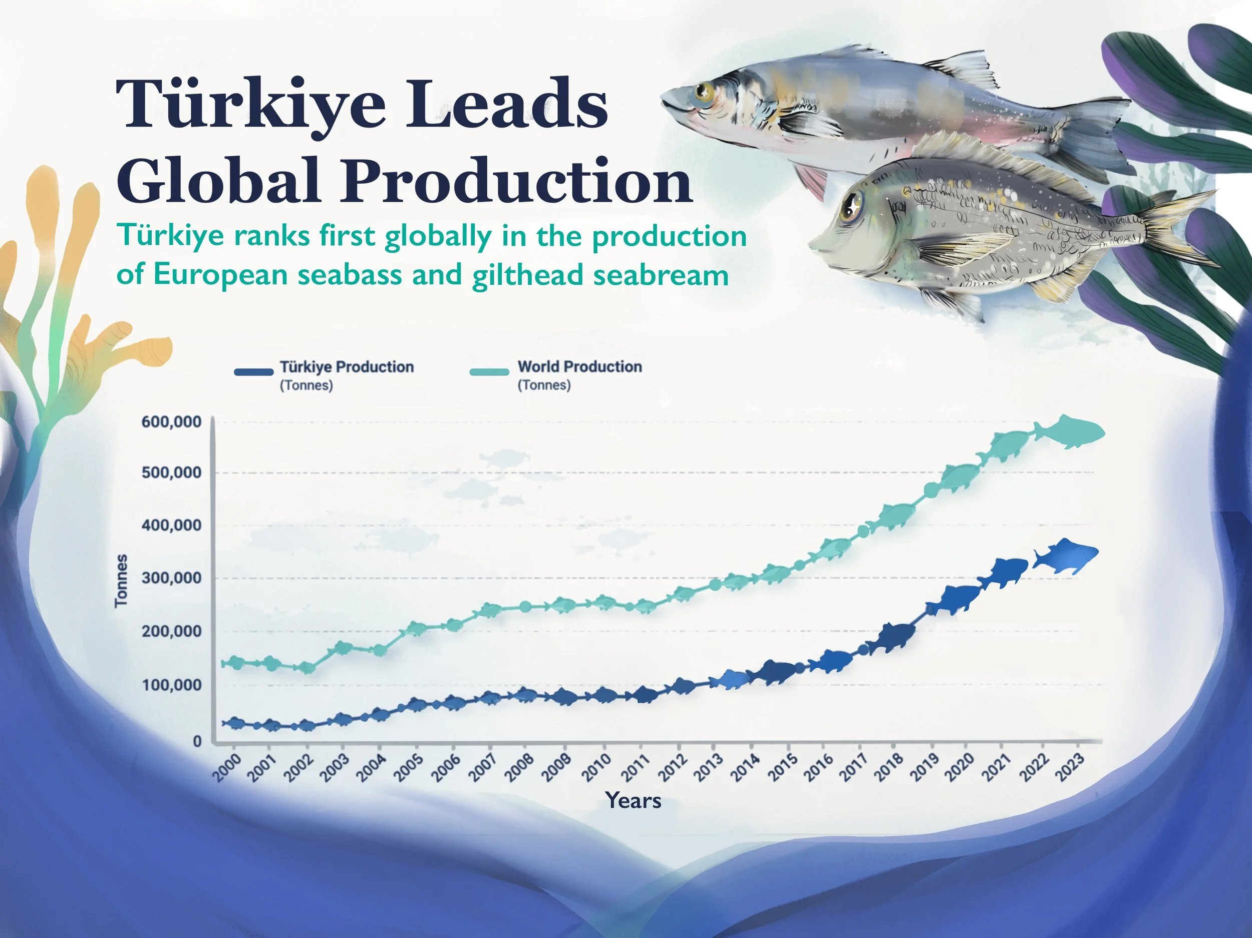 A graph showing Turkey's leadership in European seabass and gilthead seabream production from 2000 to 2023, with colorful fish illustrations surrounding the chart.