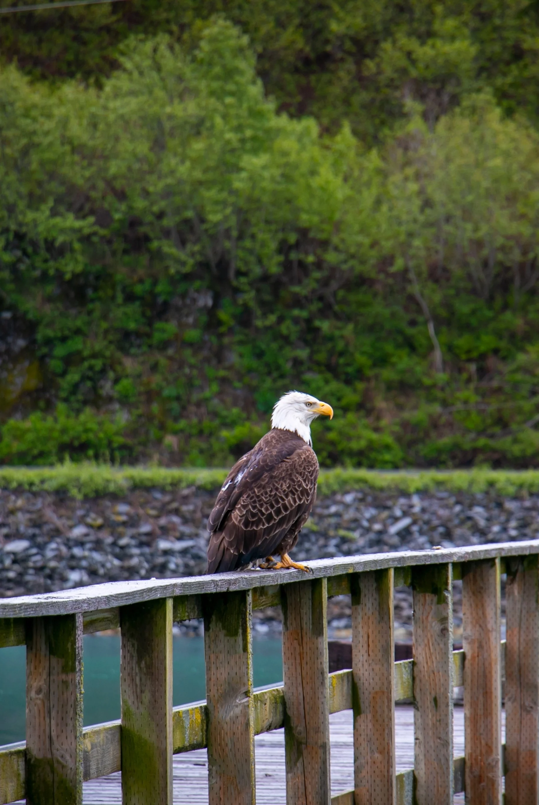 Anchorage, Alaska. 