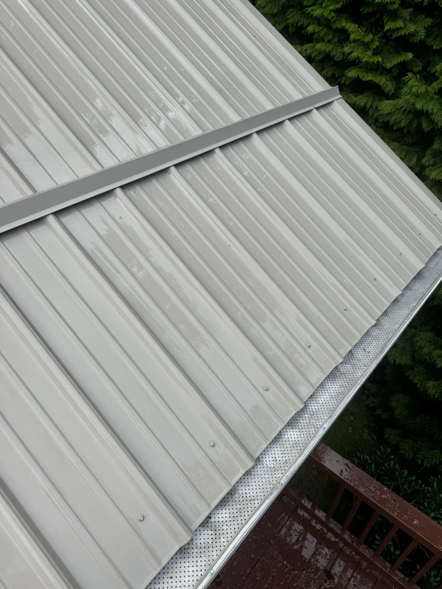 clean roof and gutters