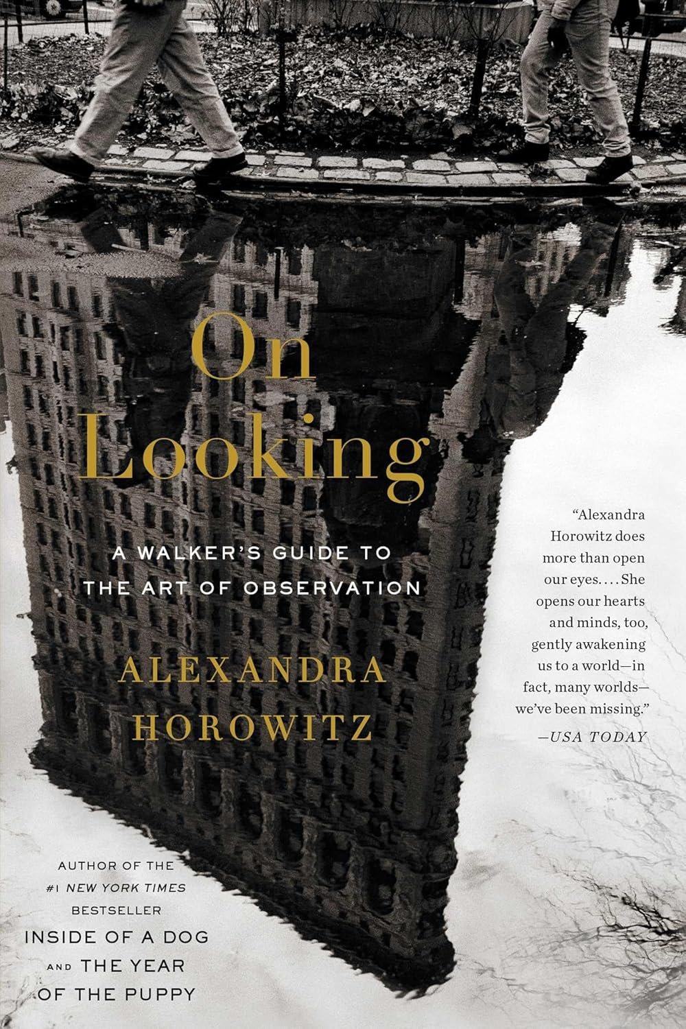 Picture of Book Cover, On Looking by Alexandra Horowitz