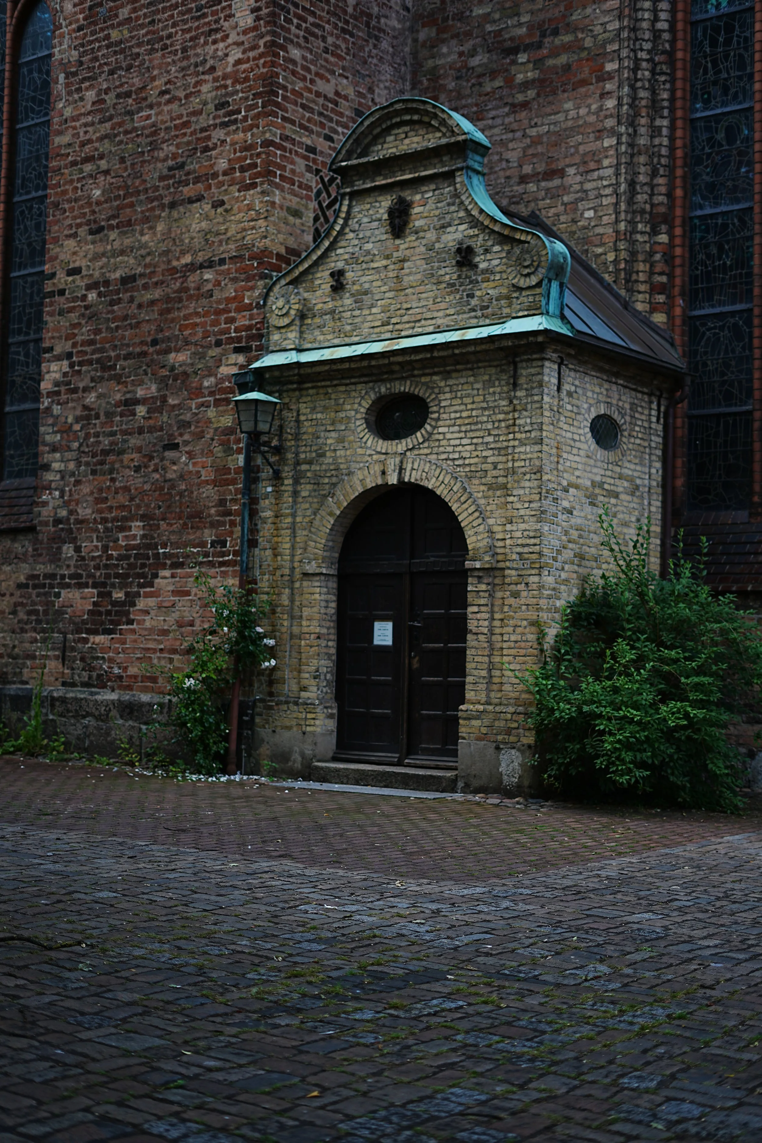 DSC00560_1.jpg