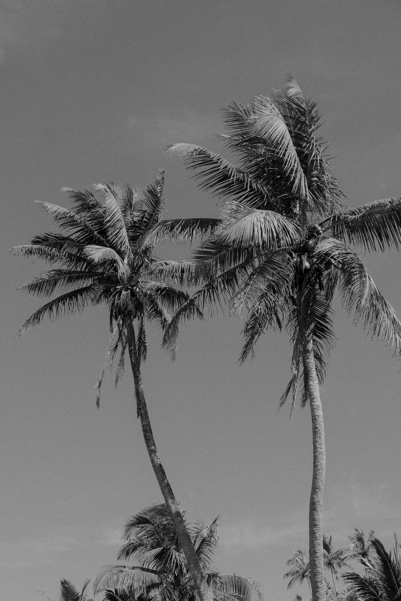 DSC08544.jpg