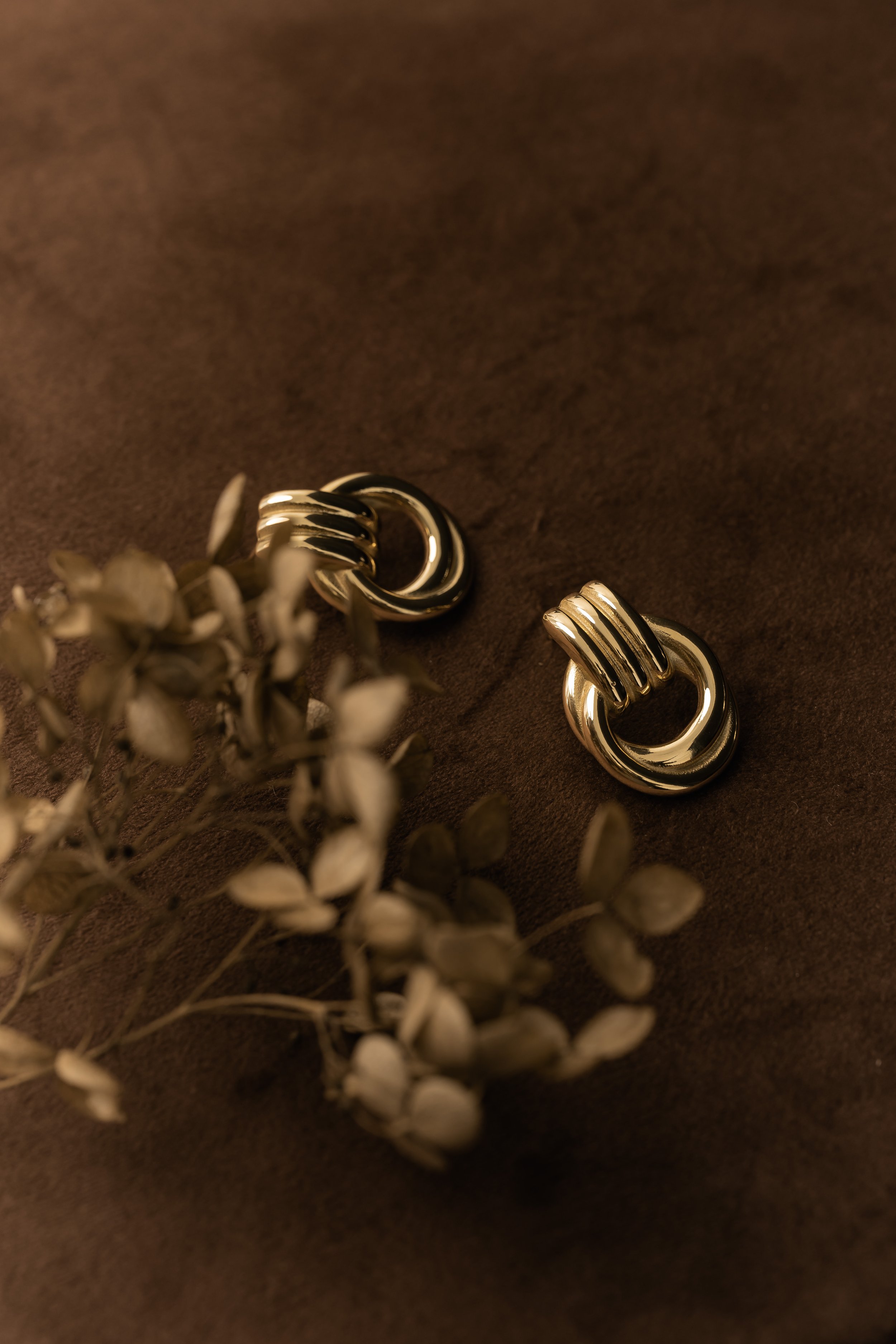 Close-up of two silver metallic rings on a dark brown textured surface, with a dried plant in the foreground.