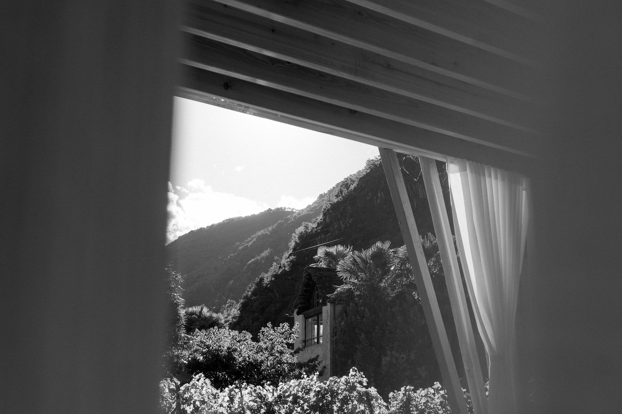 DSC01872.jpg