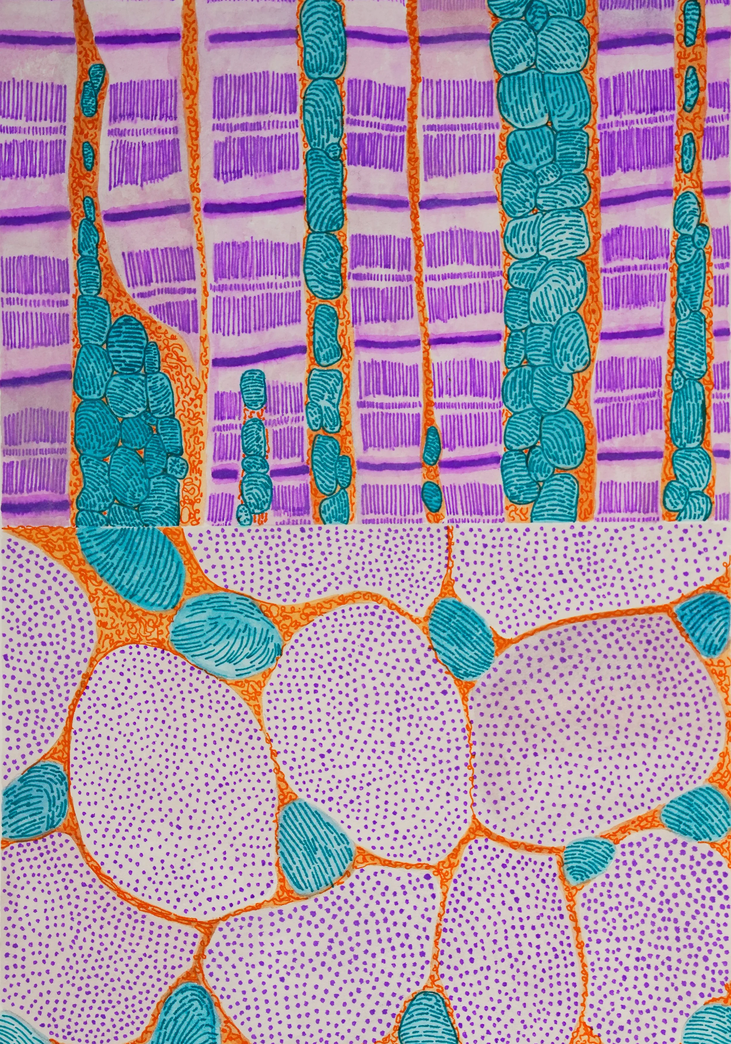 Still the same heart