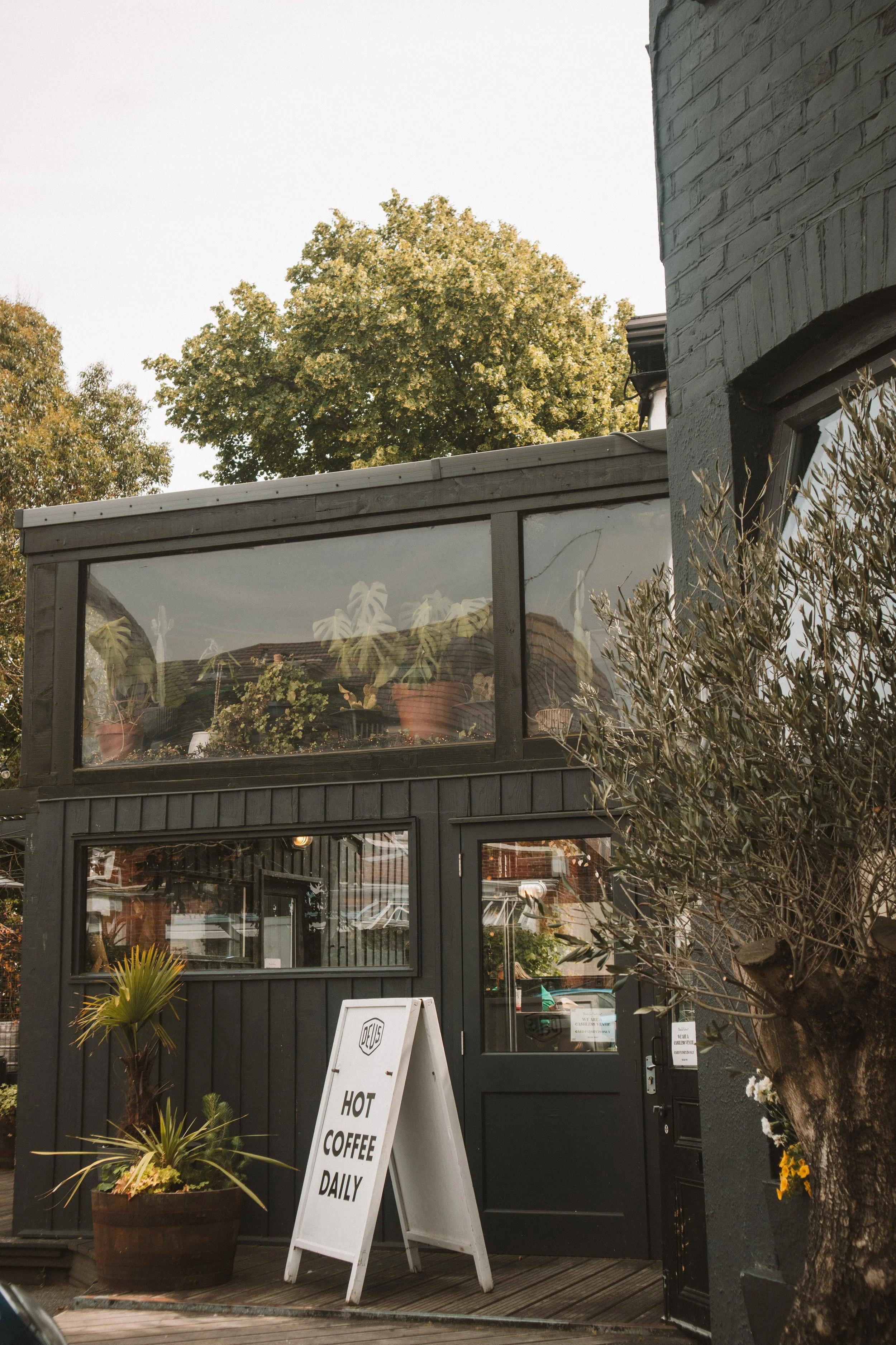 The exterior of a black building with large windows and a door, surrounded by potted plants, and a white A-frame sign advertising hot coffee daily, outside a cafe or coffee shop.