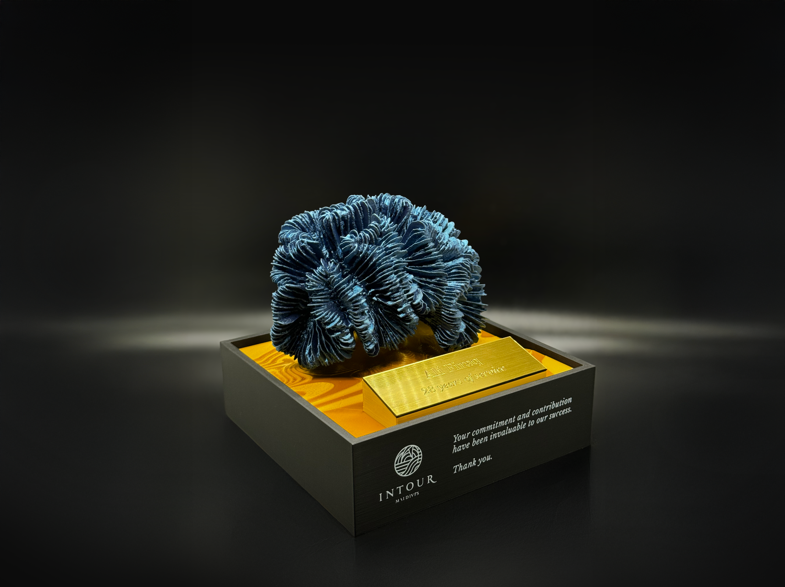 Intour Anniversary 28