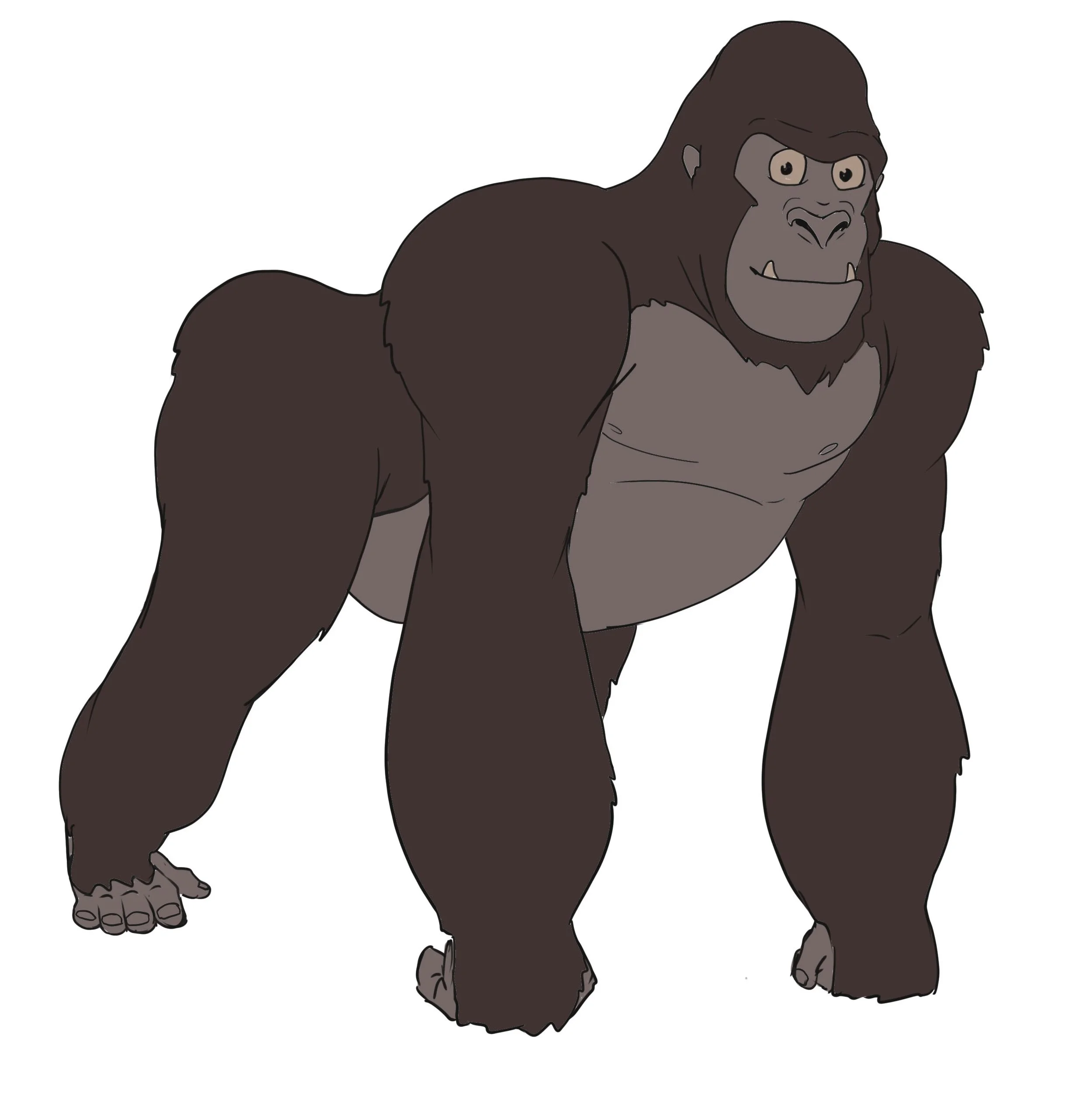 Gorilla colour.jpg