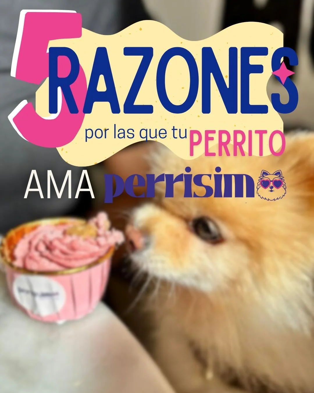 Si los perritos pudieran hablar,
te dar&iacute;an mil razones por las que aman PERRISIMO

Nosotras s&oacute;lo escogimos 5 
#perrisimo #dogfriendly #madrid #dogcafe #planesmadrid
