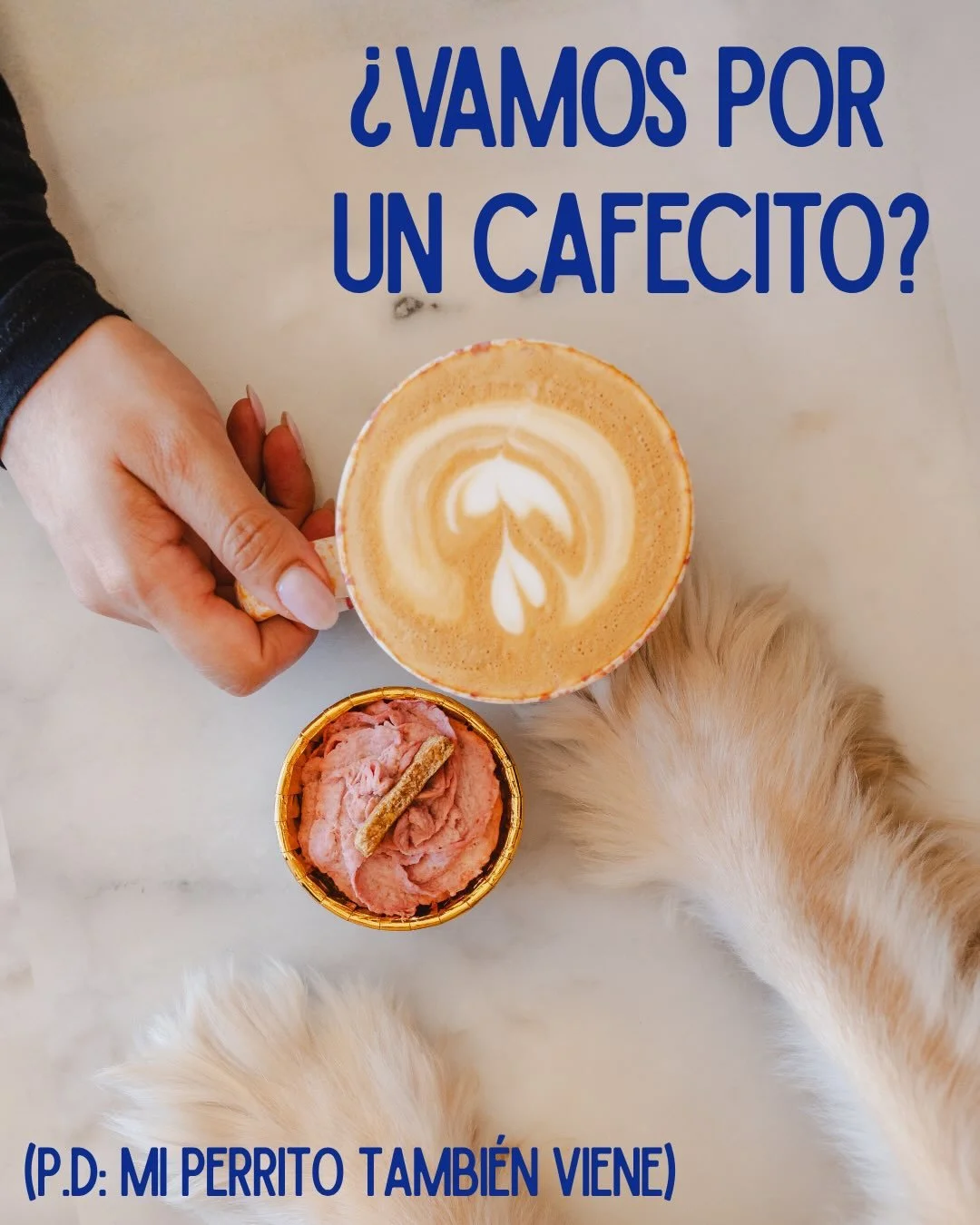 Para la persona con quien llevamos 3 meses diciendo &lsquo;quedamos pronto&rsquo; 👇etiqu&eacute;tala 🤭 

#perrisimo #dogcafe #madrid #friends #coffee