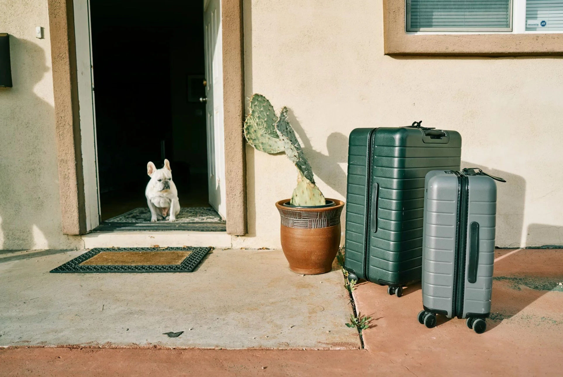 Hoteles dog friendly en España