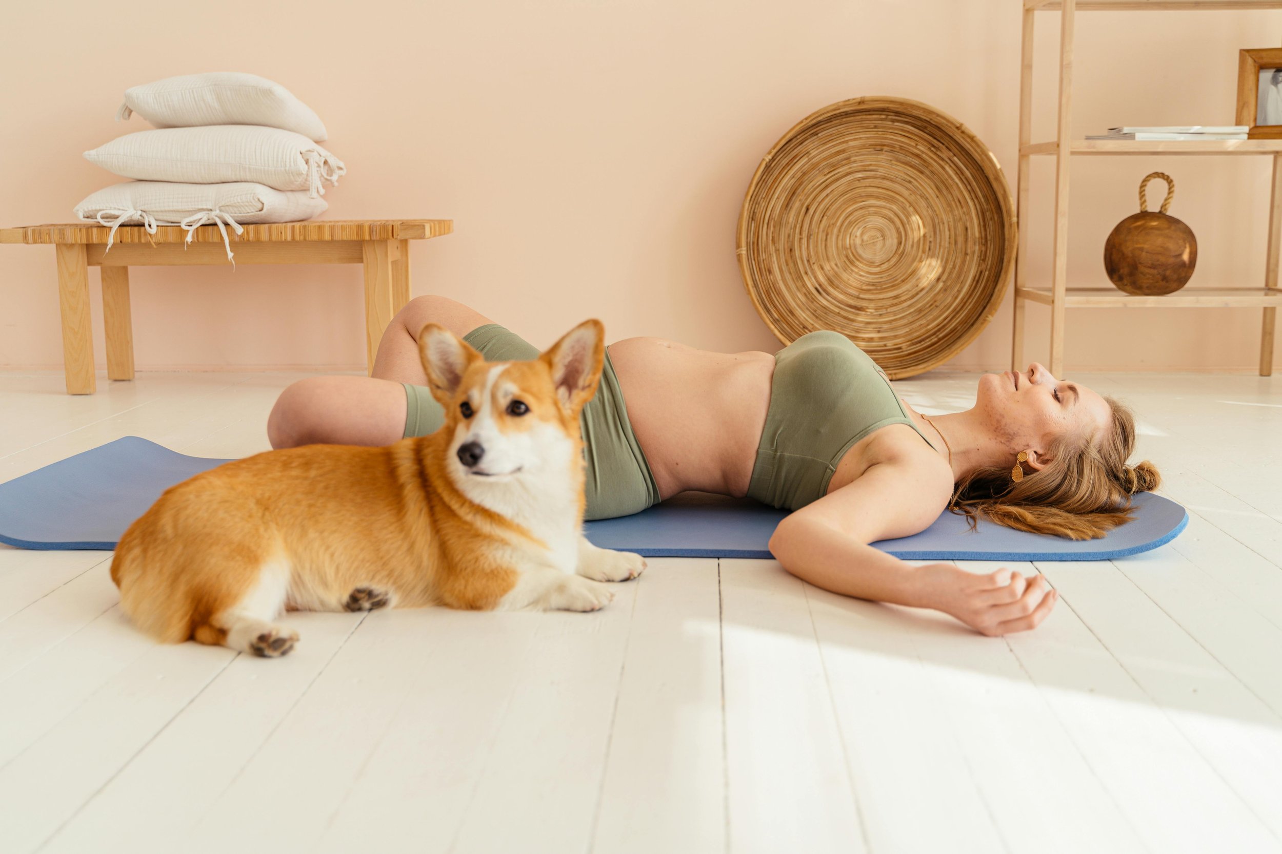 Yoga con perros en Madrid: qué es, beneficios y cómo empezar