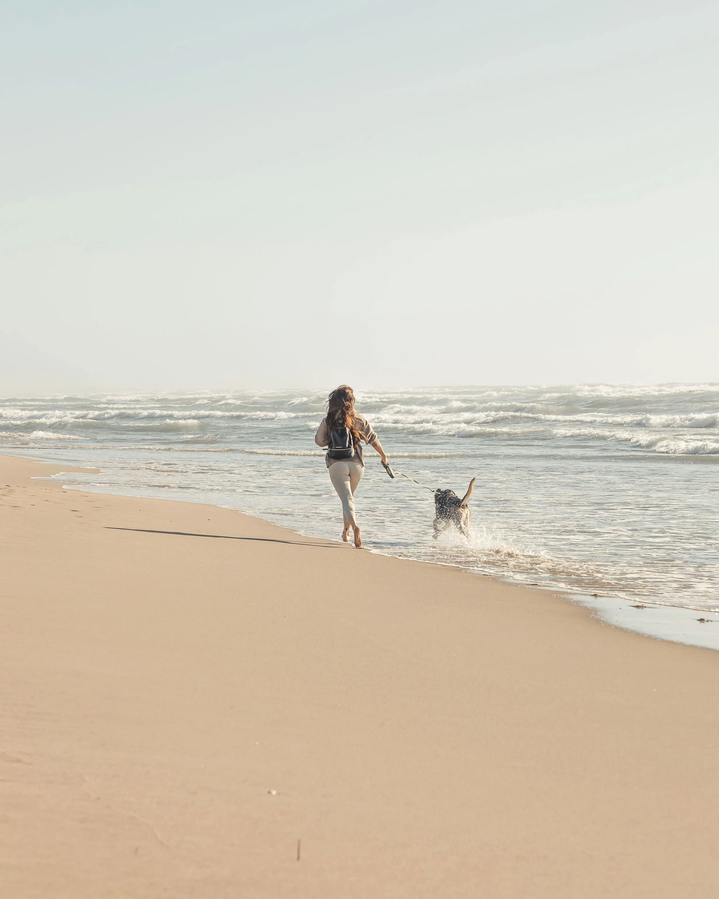 Playas para perros cerca de Madrid: 8 escapadas dog friendly para huir del calor
