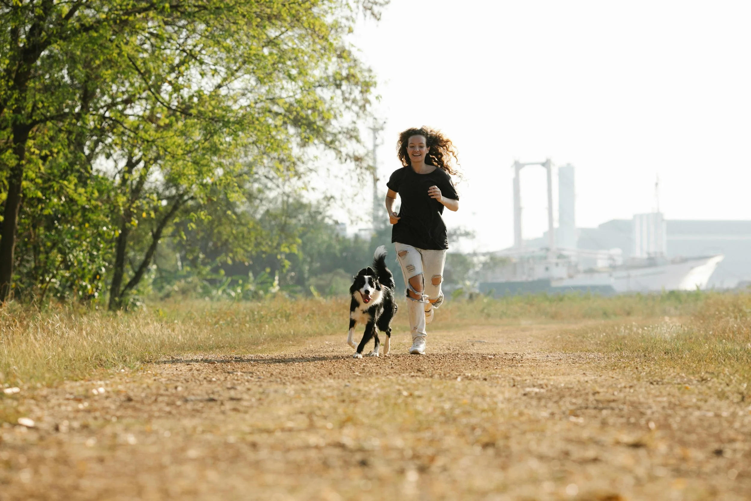 Running con perro: cómo empezar a correr con tu peludo sin lesionarlo
