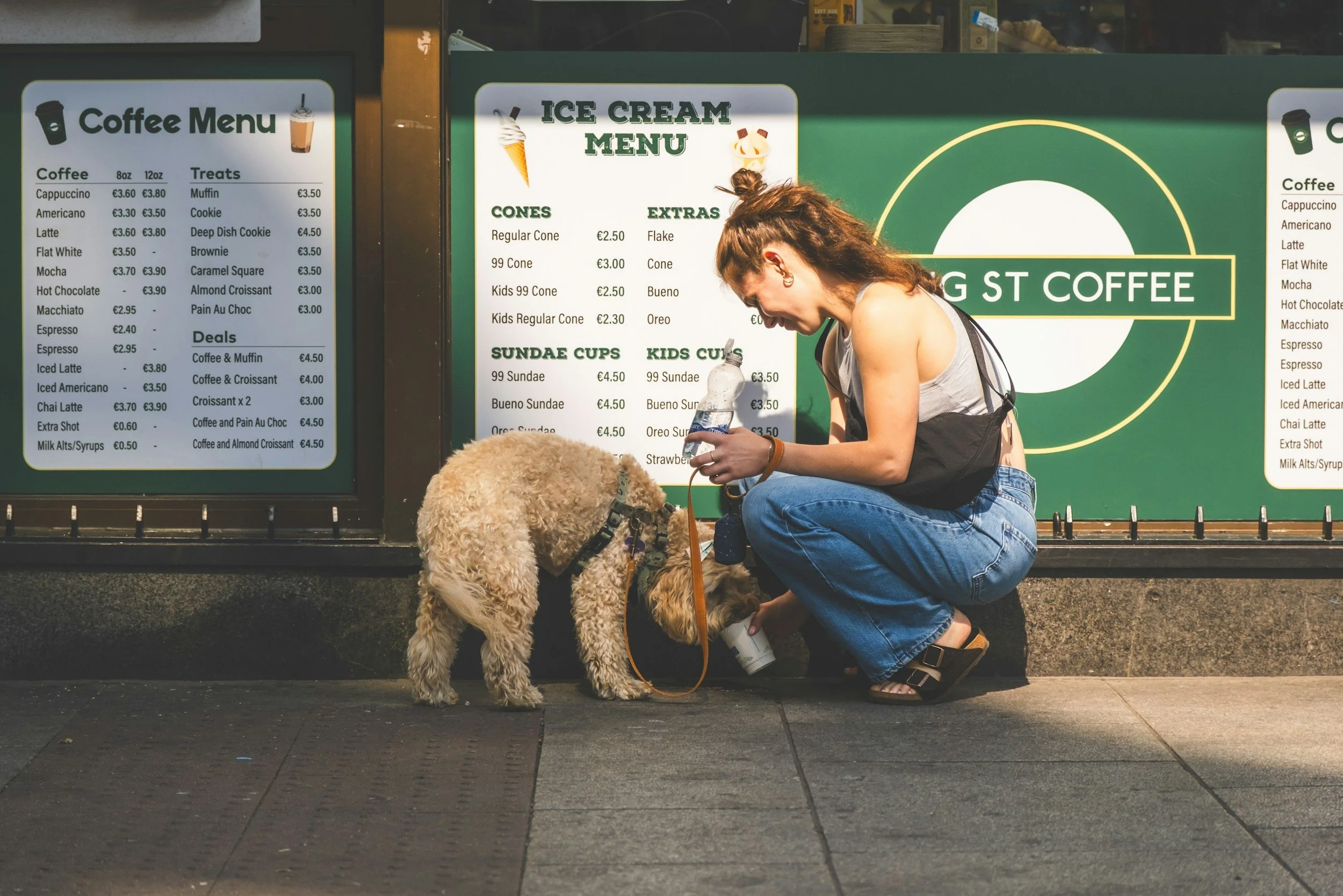 Bebidas refrescantes para perros: smoothies y granizados caninos