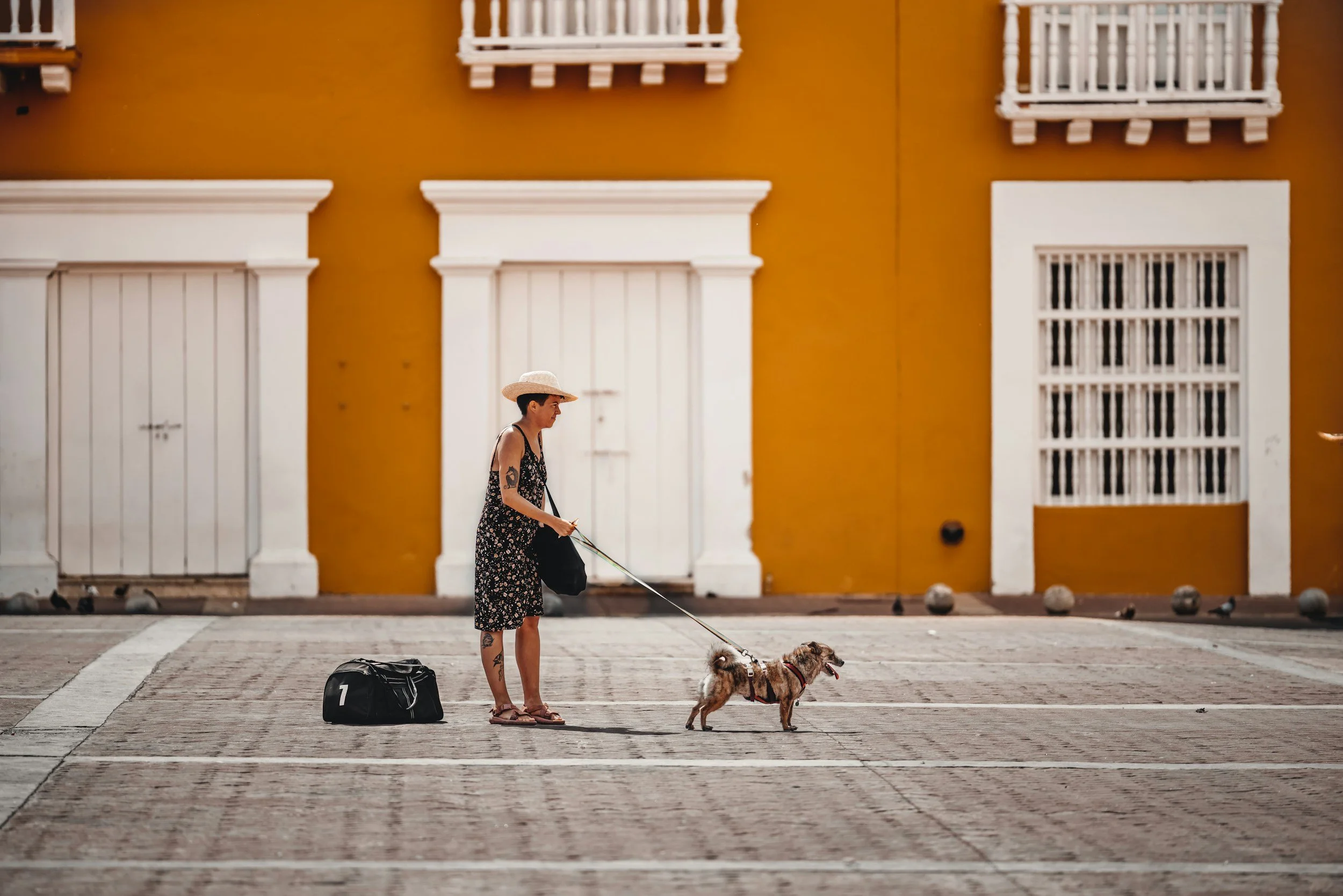 Vuelta a la rutina con perro: cómo adaptar horarios en septiembre