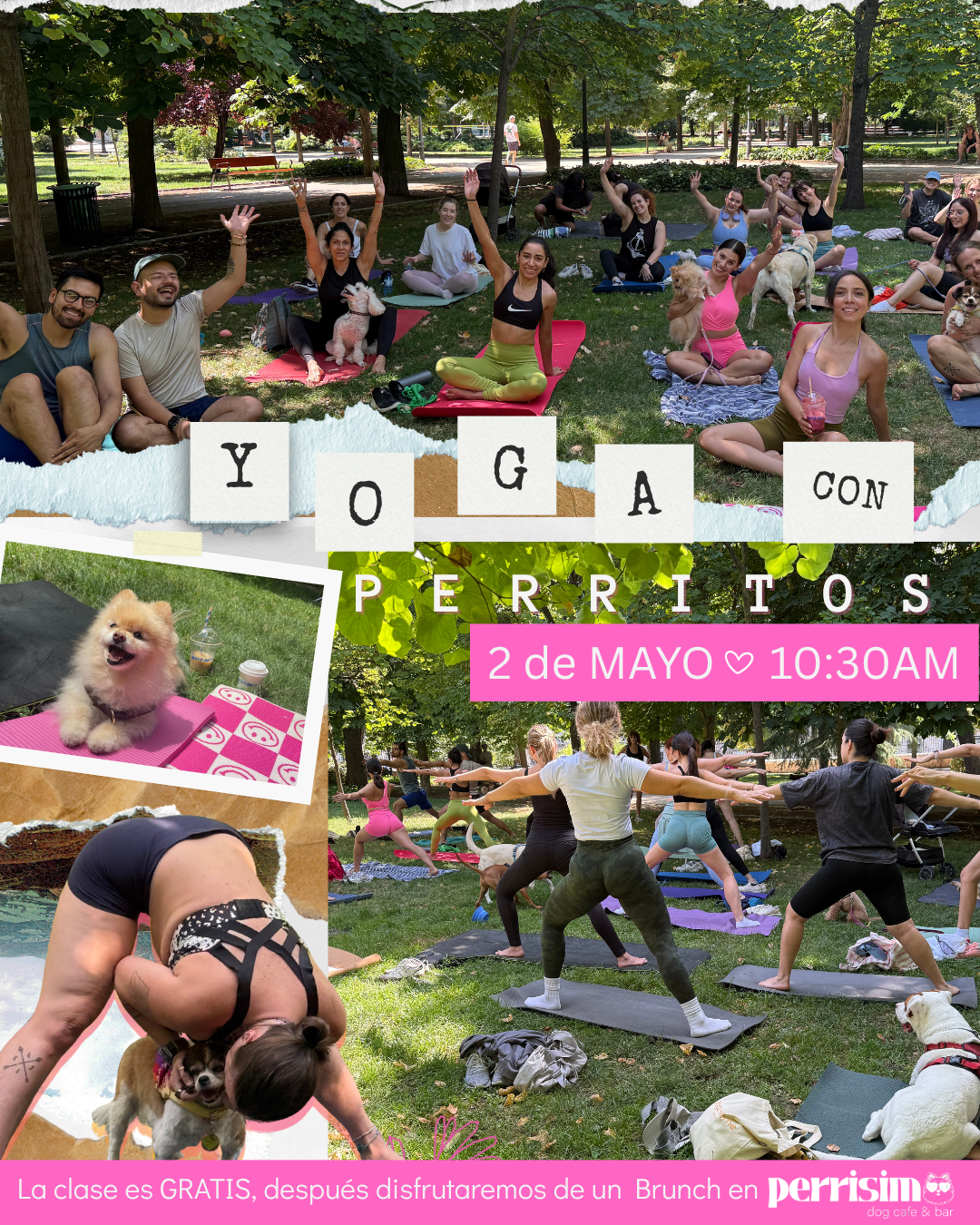 Clase de yoga con perros al aire libre en Madrid organizada por Perrisimo Dog Cafe — yoga dog-friendly gratis con brunch en el barrio de Retiro