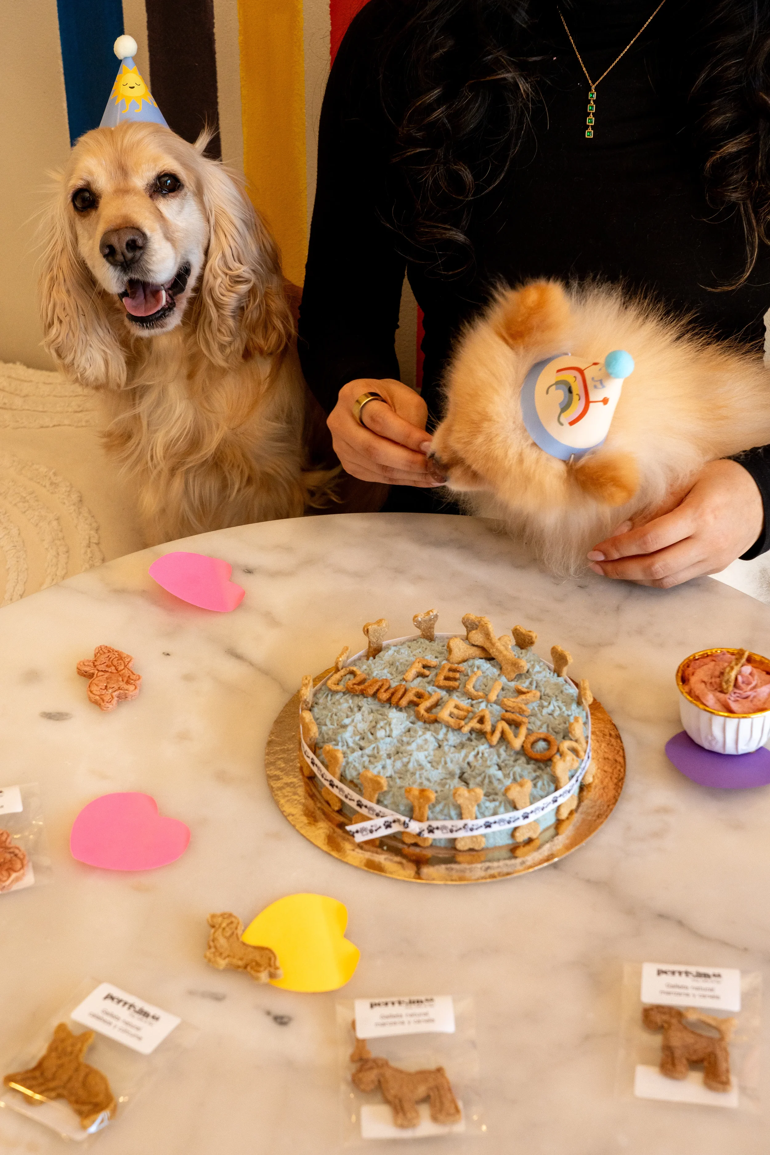 Cocker spaniel y pomerania celebrando juntos con tarta artesanal personalizada en Perrísimo, el espacio dog-friendly de Menéndez Pelayo, Madrid