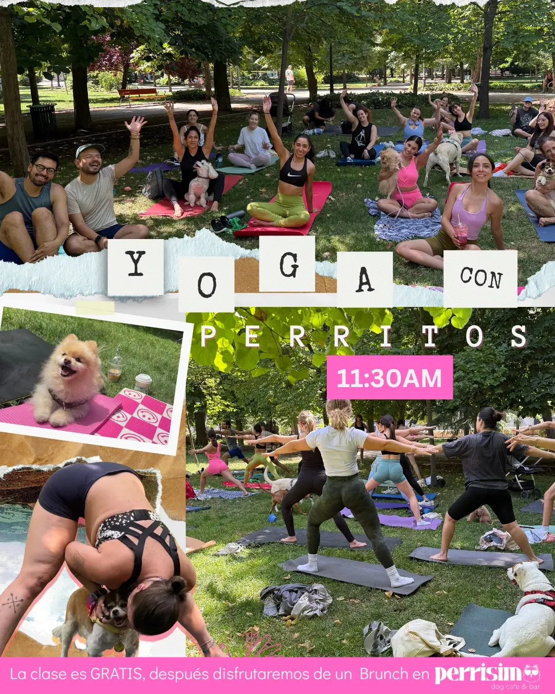 Cartel del evento Yoga con Perritos organizado por Perrísimo, clase de yoga gratuita al aire libre en el Parque del Retiro, Madrid, a las 11:30am seguida de brunch en Perrísimo, cafetería apta para perros en Menéndez Pelayo 25