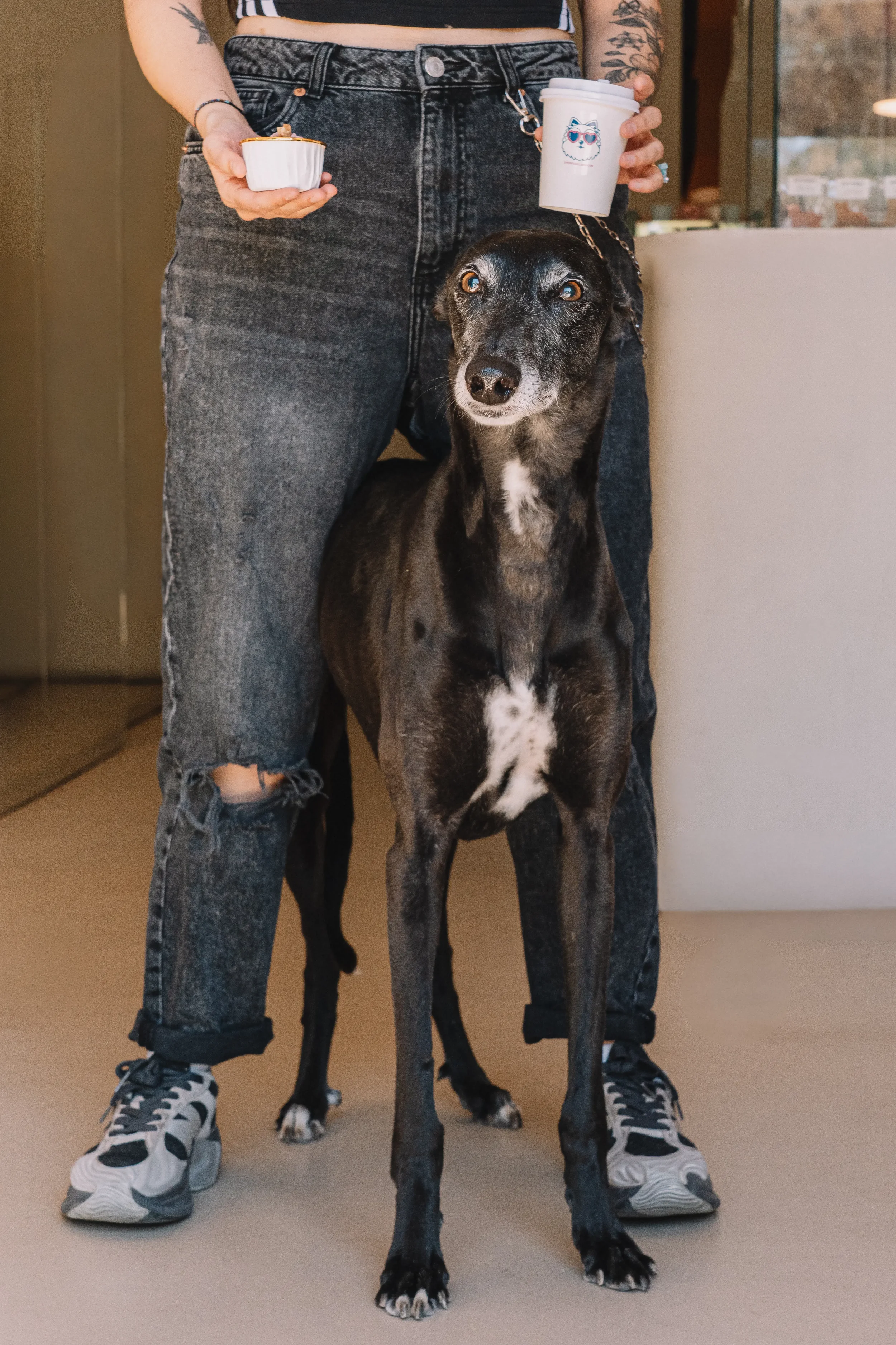 Galgo negro posando junto a su dueña con un café en Perrísimo, el espacio apto para perros de Menéndez Pelayo en el barrio del Parque del Retiro, Madrid