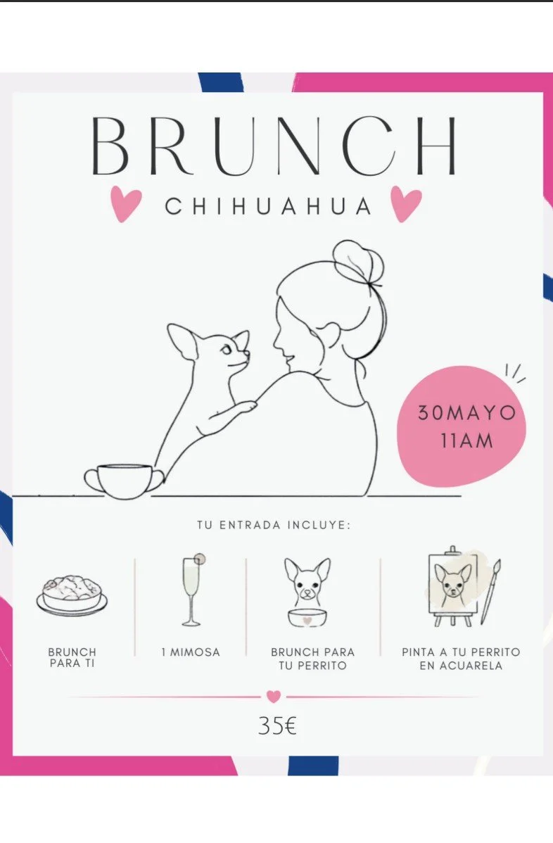 Brunch dog-friendly en Madrid con menú para perro y retrato en acuarela — evento Brunch Chihuahua en Perrisimo Dog Cafe en Retiro
