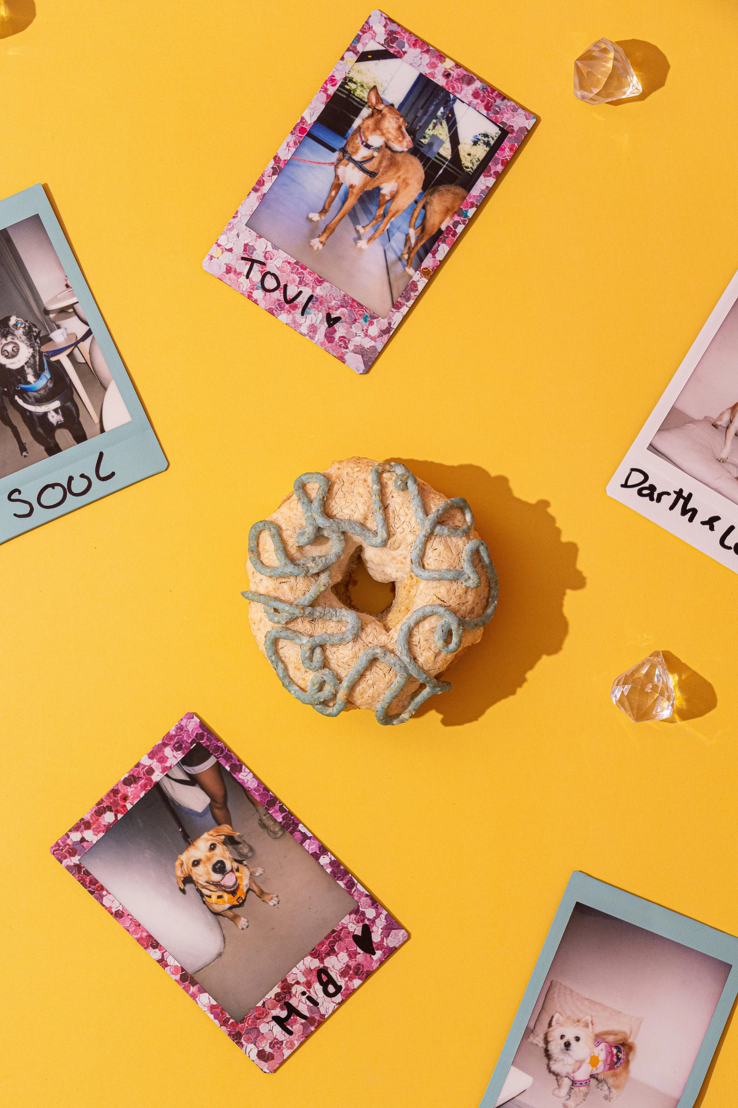 Donut artesanal para perros con decoración azul rodeado de fotos Polaroid, experiencia premium en Perrisimo Dog Cafe, punto de encuentro para pet-parents en el Retiro, Madrid