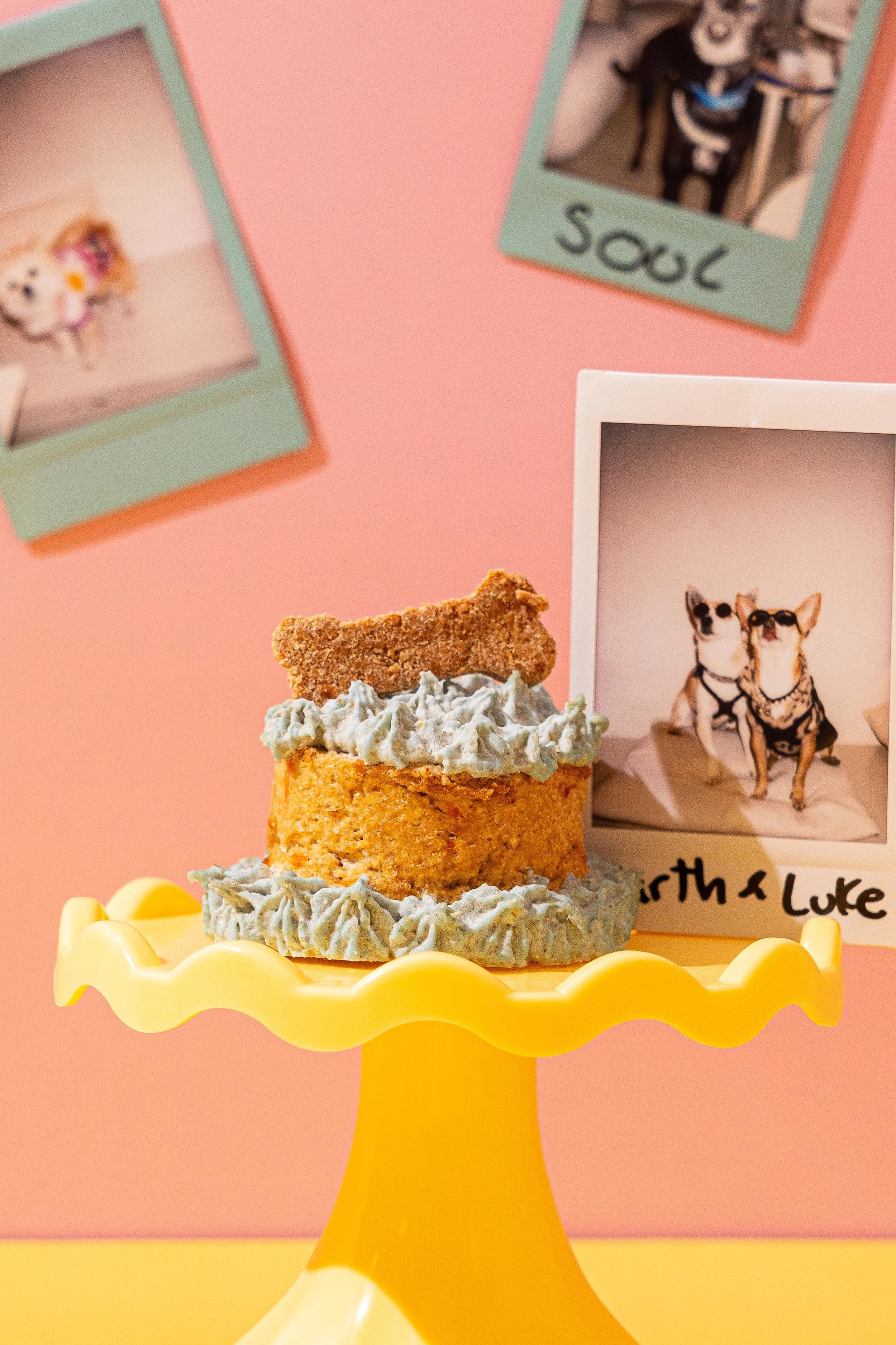 Tarta de cumpleaños para perros con frosting azul y galleta artesanal en Perrisimo Dog Cafe, la cafetería dog-friendly en Retiro Madrid especializada en celebraciones caninas con fotos de clientes