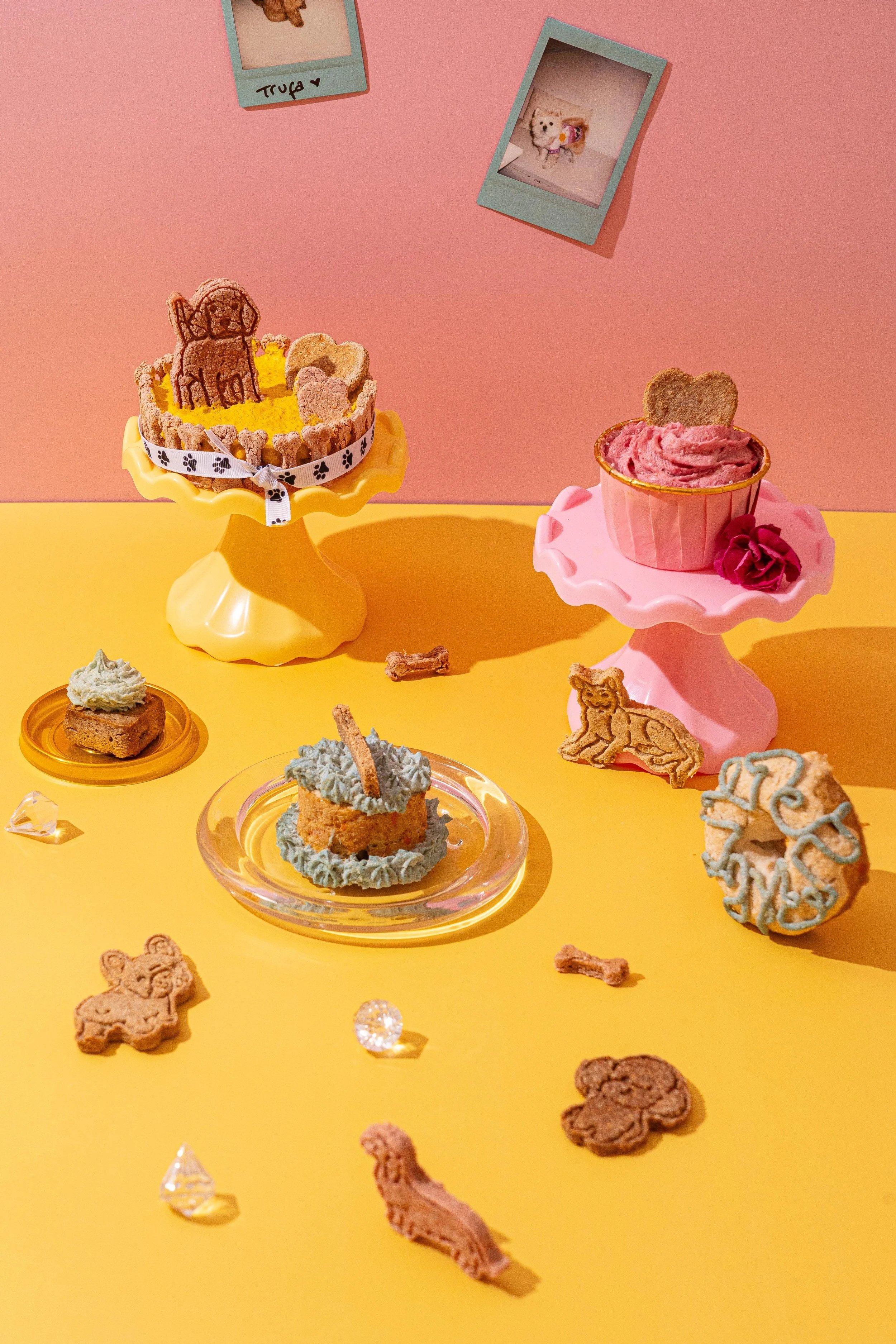Repostería canina artesana con dognuts y pupcakes en Perrisimo Madrid Retiro