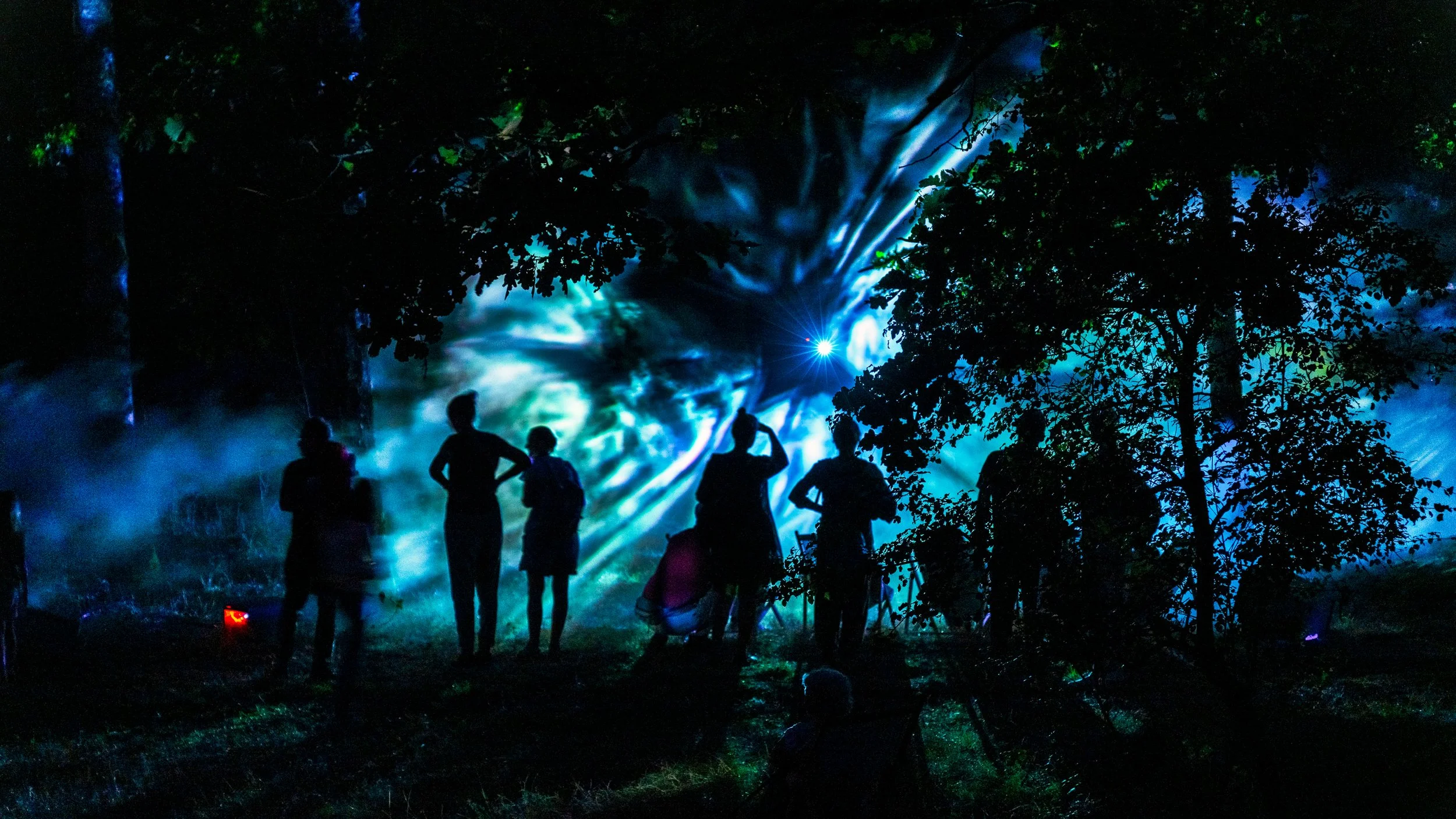 Silhouettes of six people standing outdoors at night in front of a vibrant, swirling light display and trees, possibly during a laser show or concert.