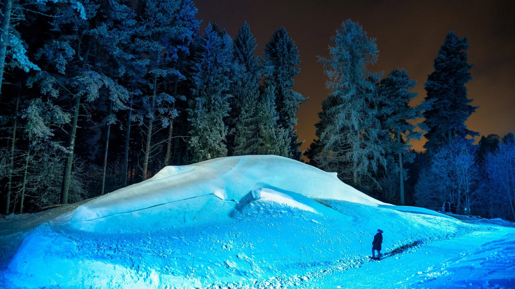 Nighttime scene of snow-covered landscape with a person standing and trees in the background illuminated in blue light.