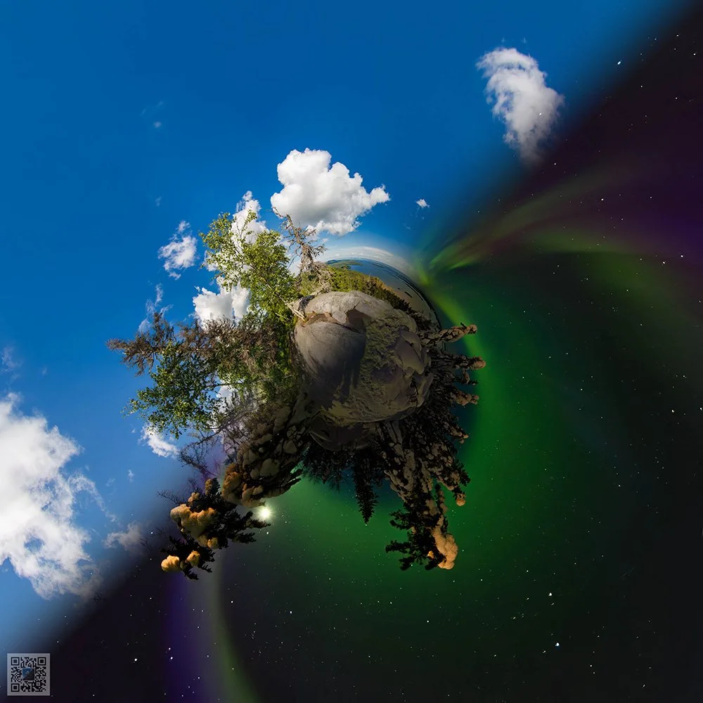 Stereographic tiny planet landscape with trees and sky