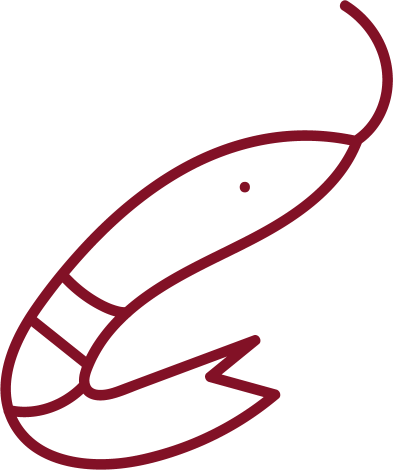 PaellaProfs