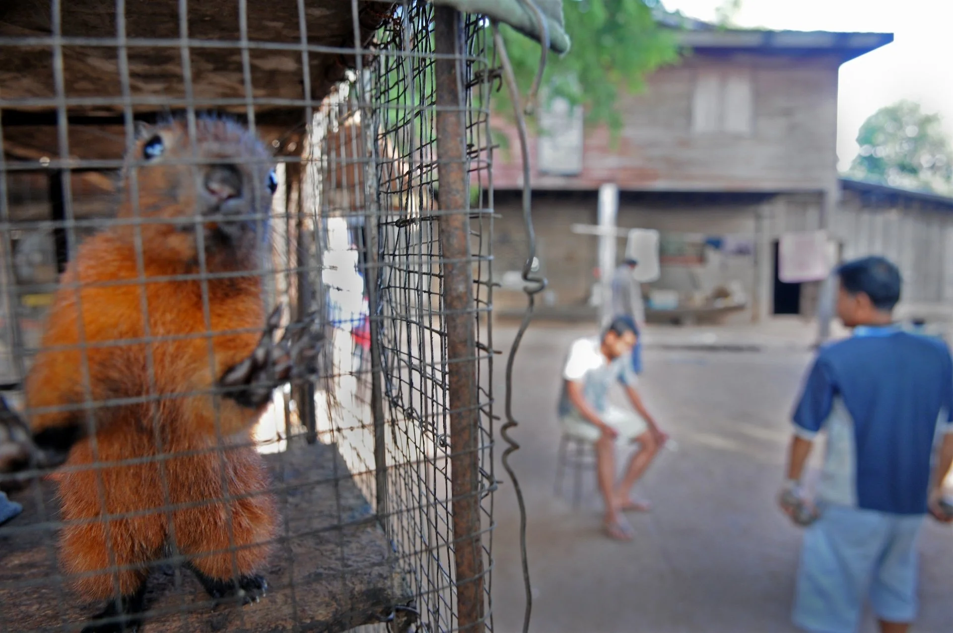 Laos February 2008 1634.jpg